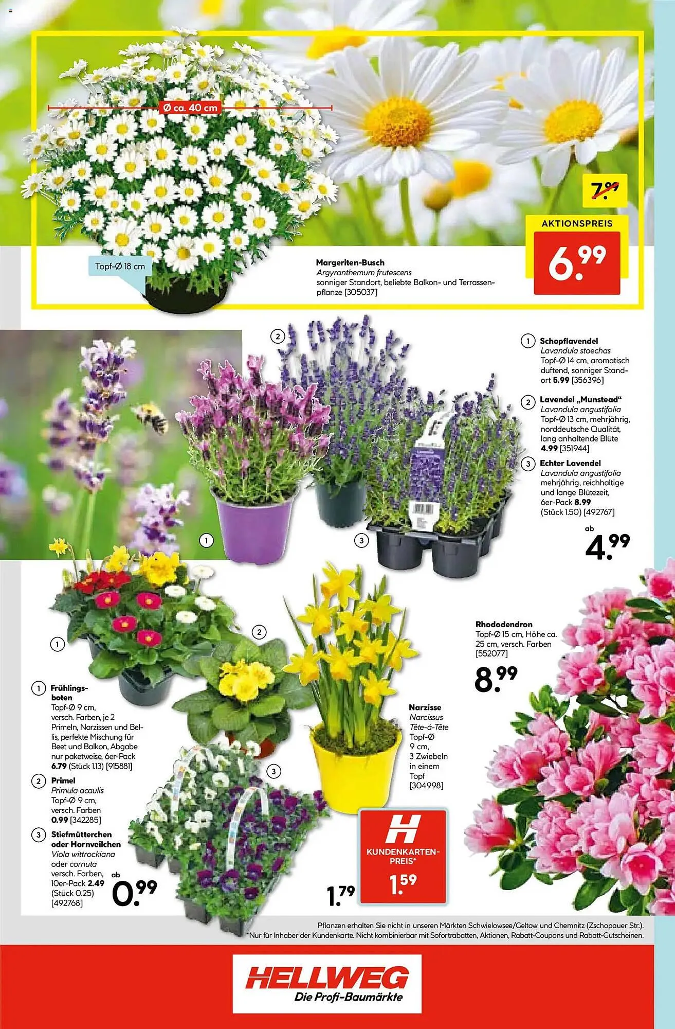 Hellweg Prospekt von 9. März bis 14. März 2026 - Prospekt seite 16