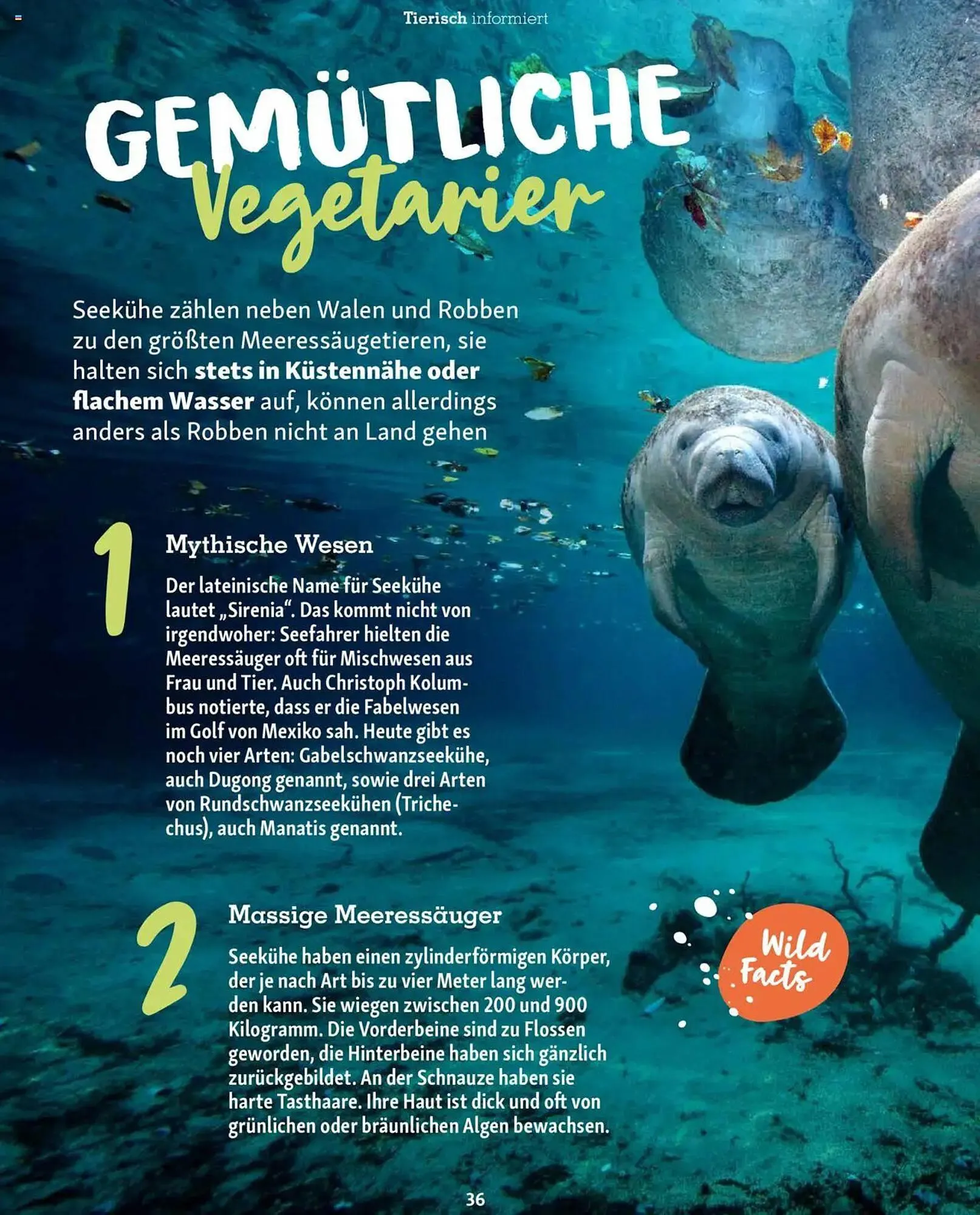 Fressnapf Prospekt von 1. Juli bis 31. August 2025 - Prospekt seite 36