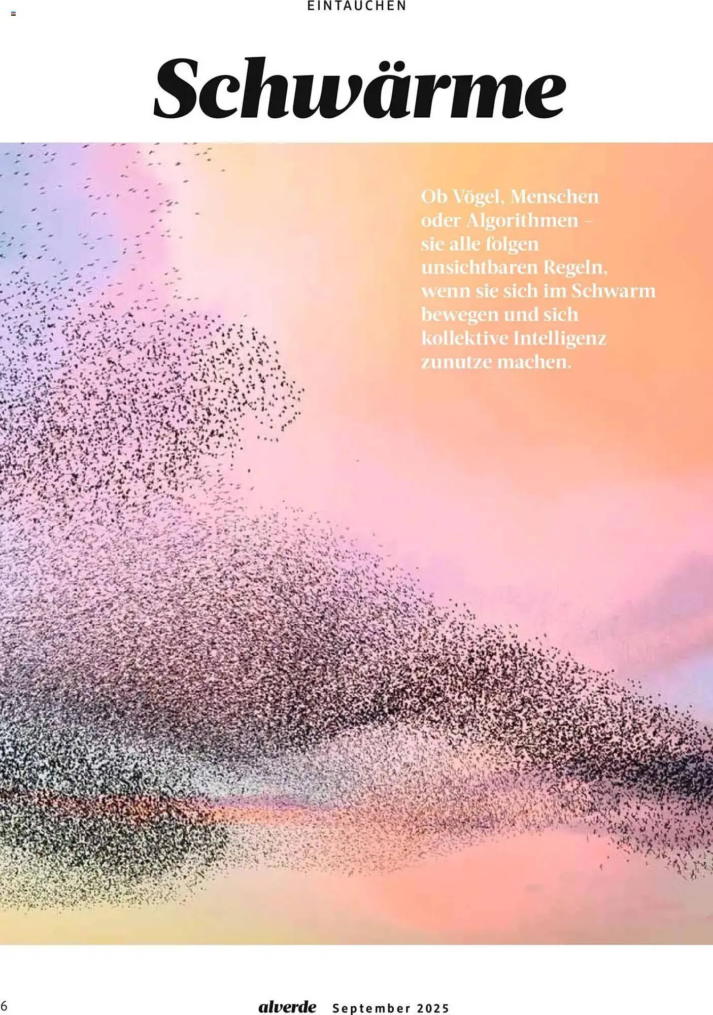 dm drogerie Magazin von 1. September bis 30. September 2025 - Prospekt seite 6