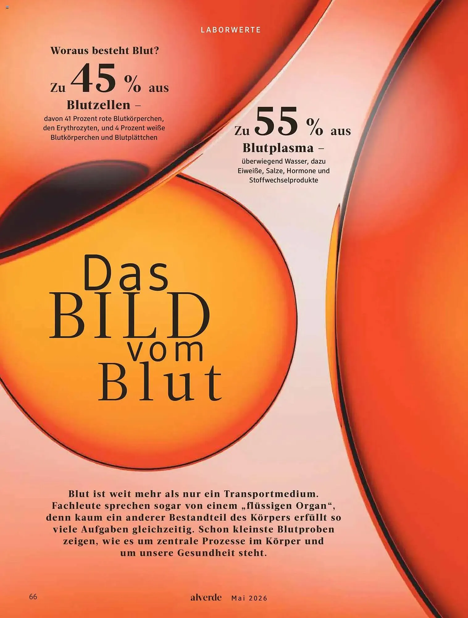 Dm drogerie Magazin von 1. Mai bis 31. Mai 2026 - Prospekt seite 66