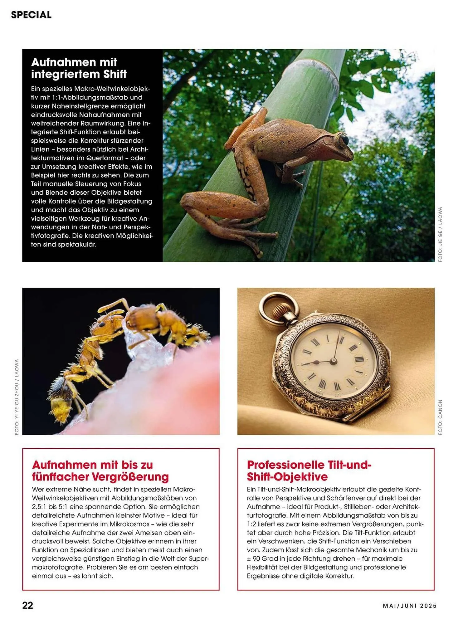 Ringfoto Prospekt von 22. Mai bis 30. Juni 2025 - Prospekt seite 22