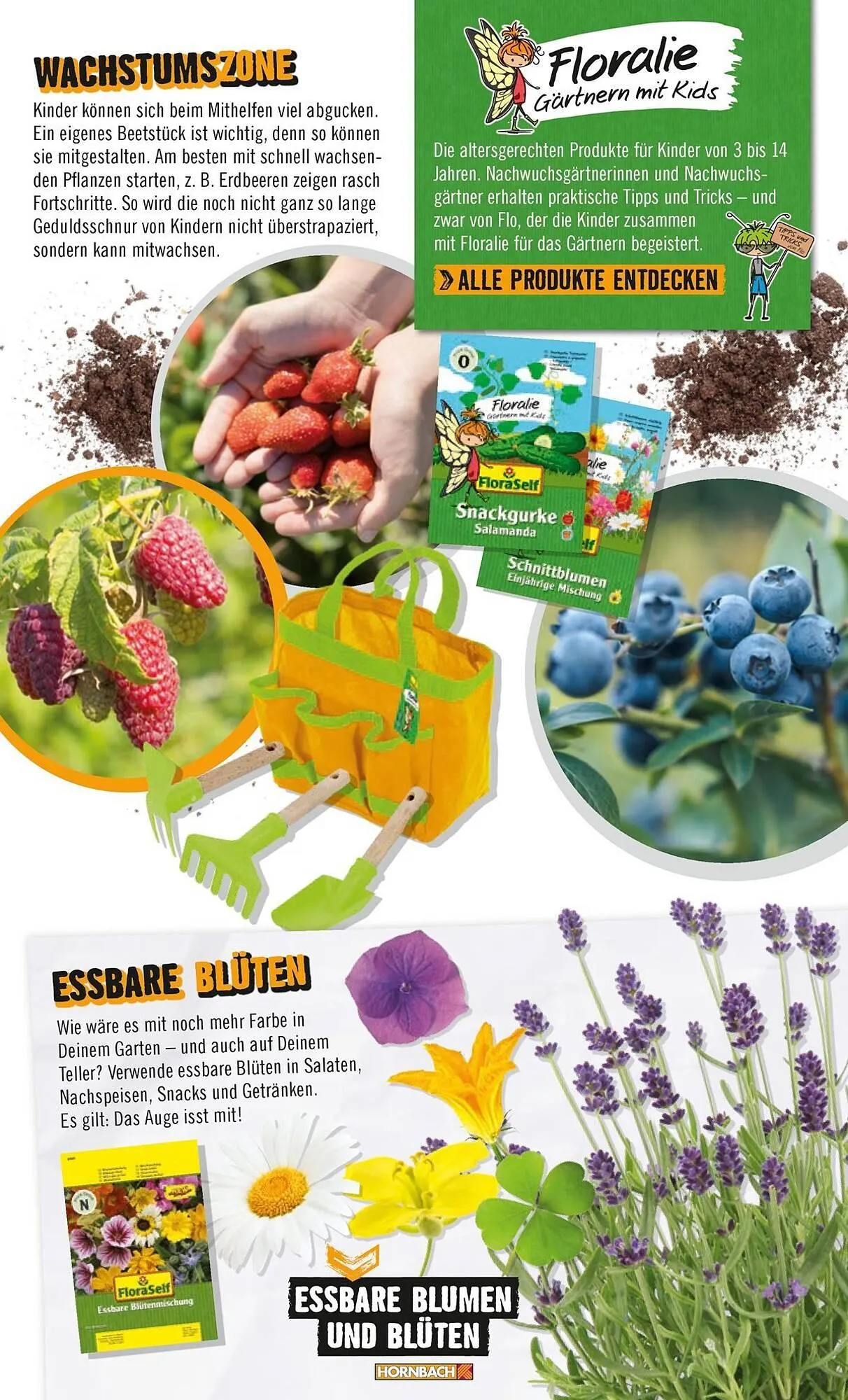 Hornbach Prospekt von 1. April bis 7. April 2025 - Prospekt seite 45