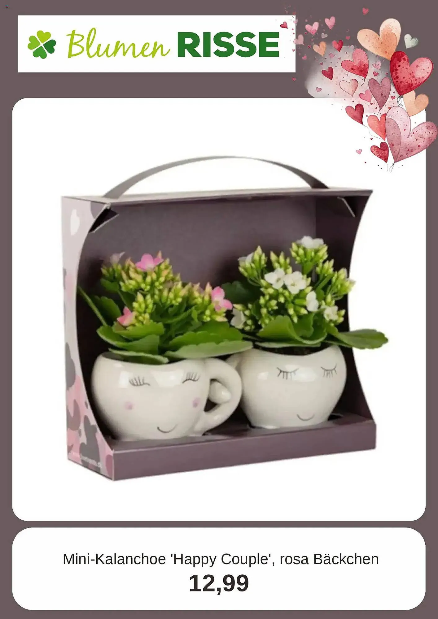 Blumen Risse Prospekt von 4. Februar bis 14. Februar 2026 - Prospekt seite 4