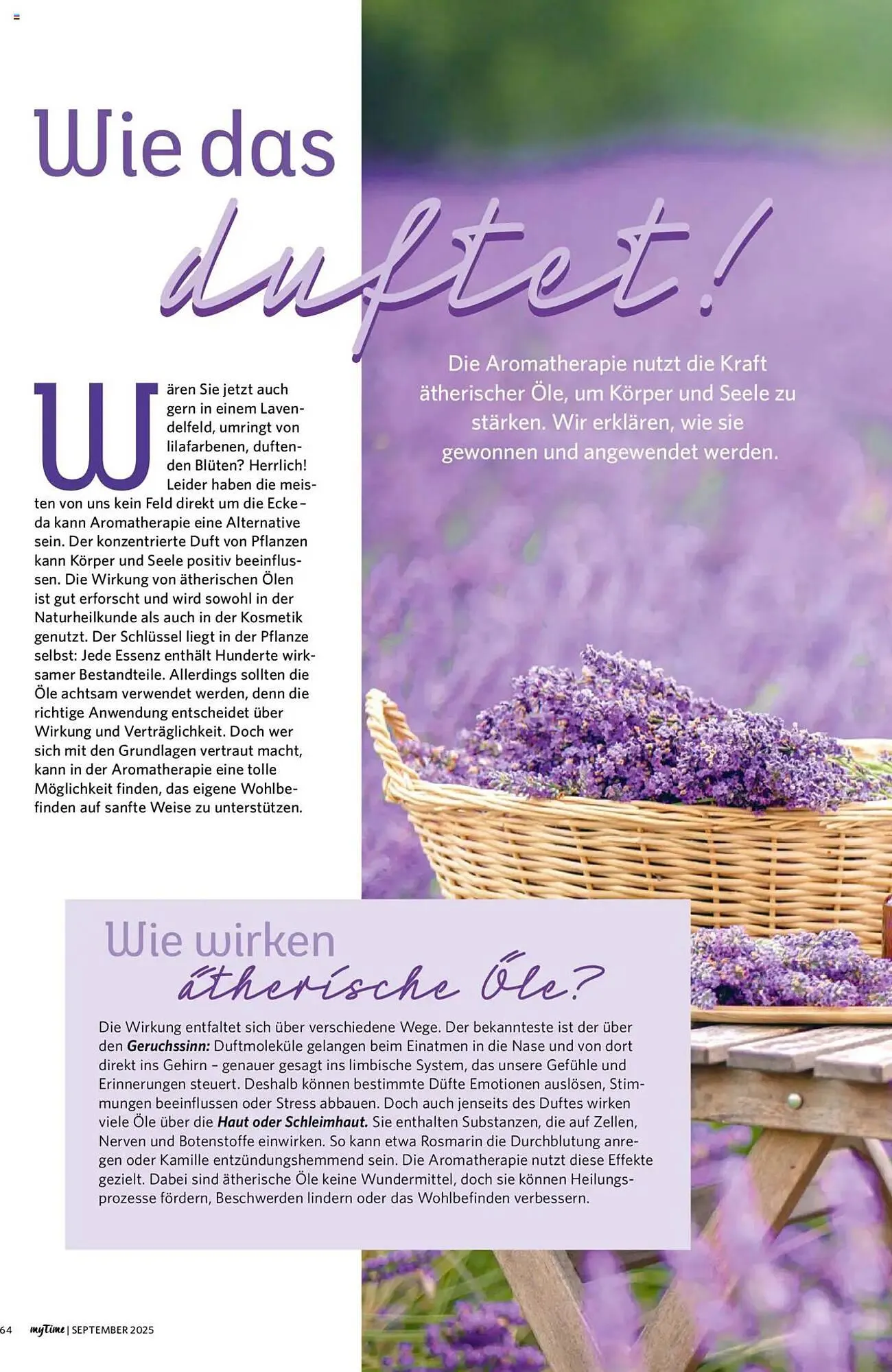 Combi Prospekt von 1. September bis 30. September 2026 - Prospekt seite 64