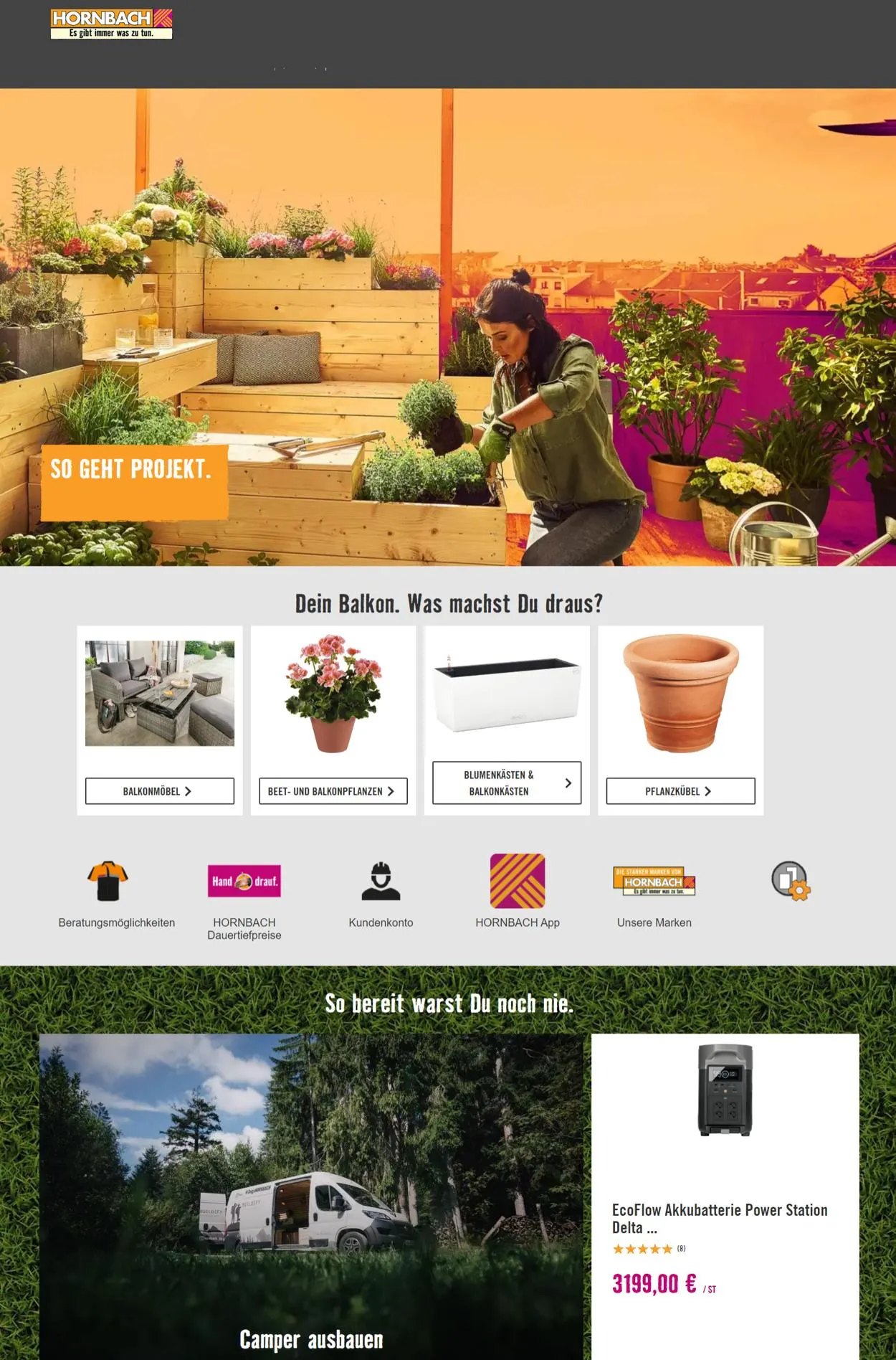 Hornbach von 29. Dezember bis 7. Januar 2026 - Prospekt seite 1