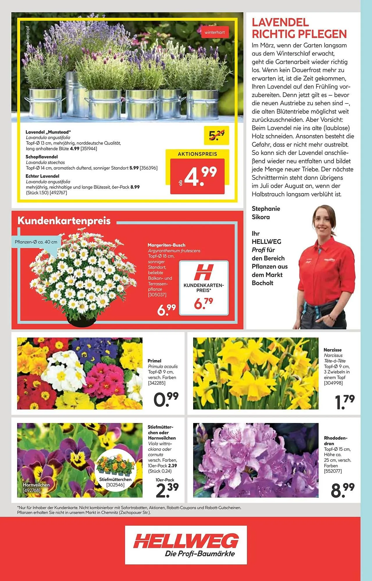 Hellweg Prospekt von 10. März bis 16. März 2025 - Prospekt seite 24