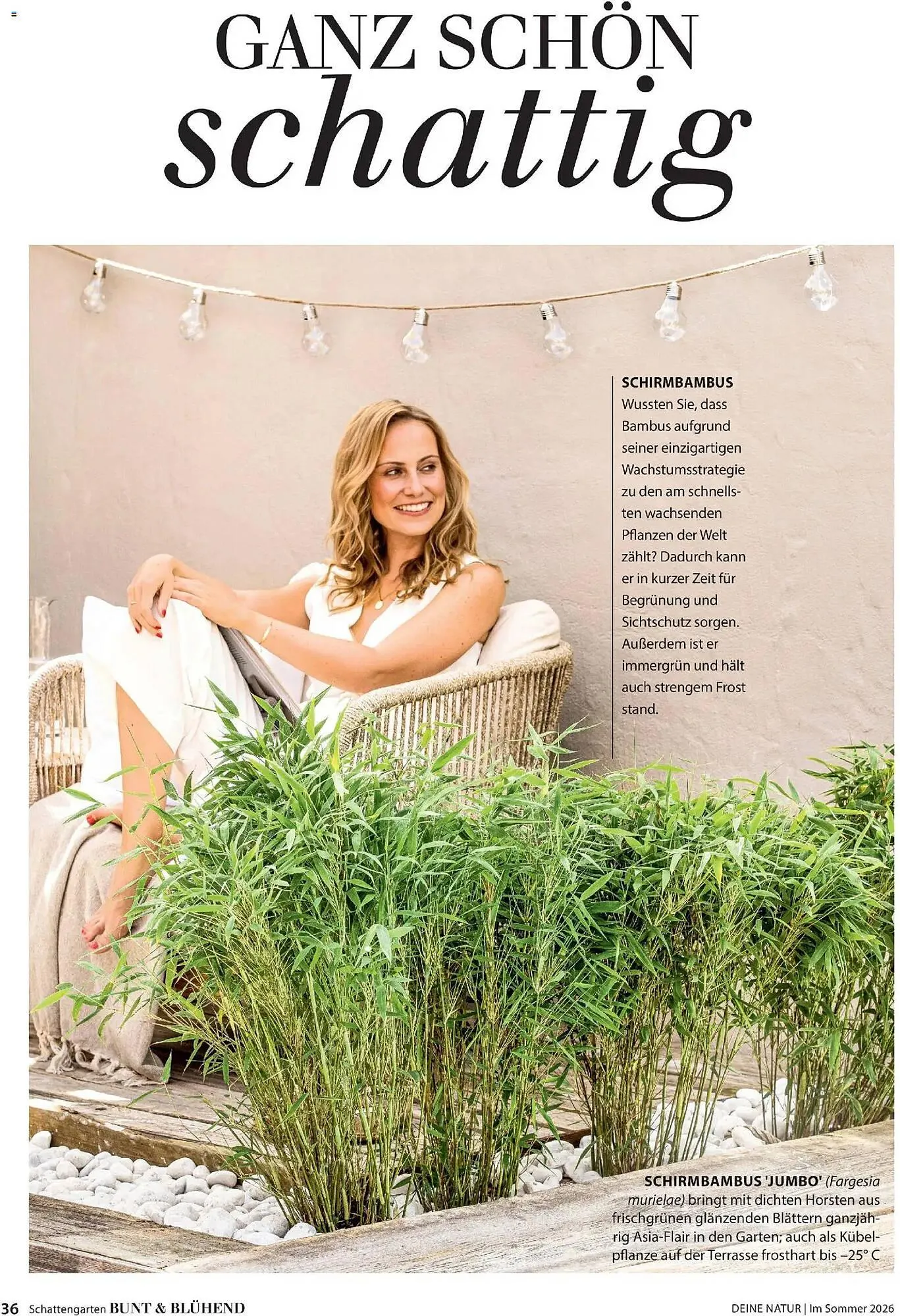 Dehner Prospekt von 17. April bis 31. August 2026 - Prospekt seite 36