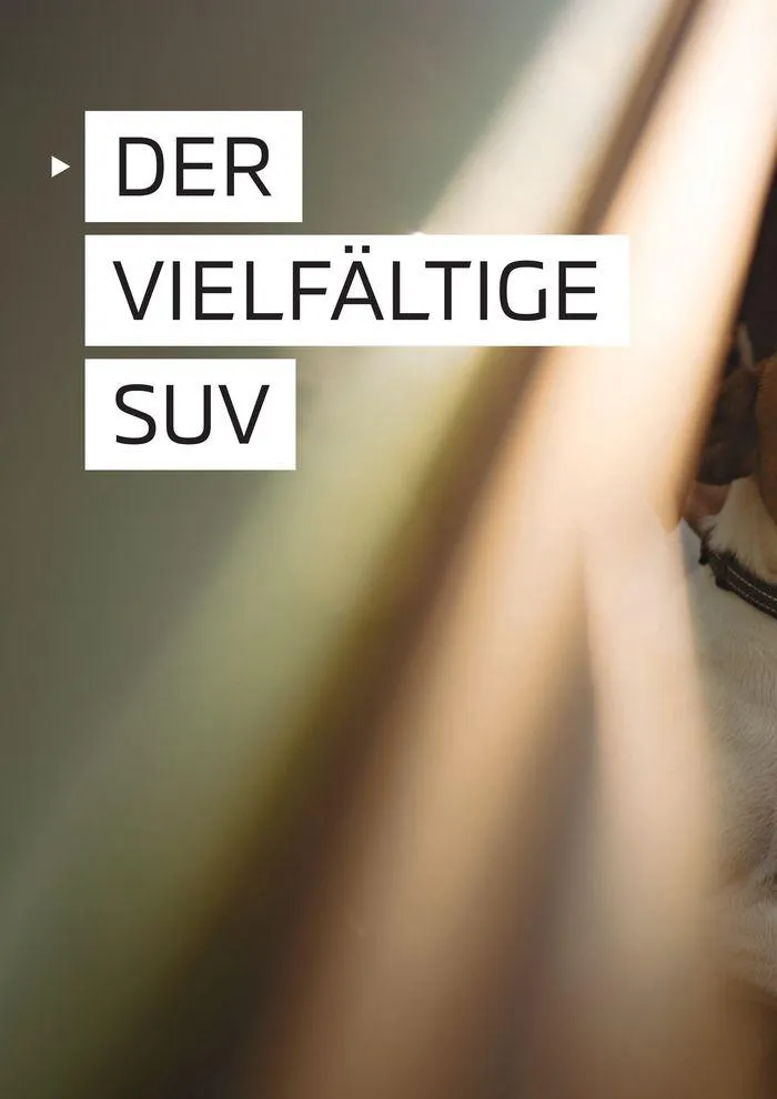 ASX von 27. April bis 27. April 2025 - Prospekt seite 20