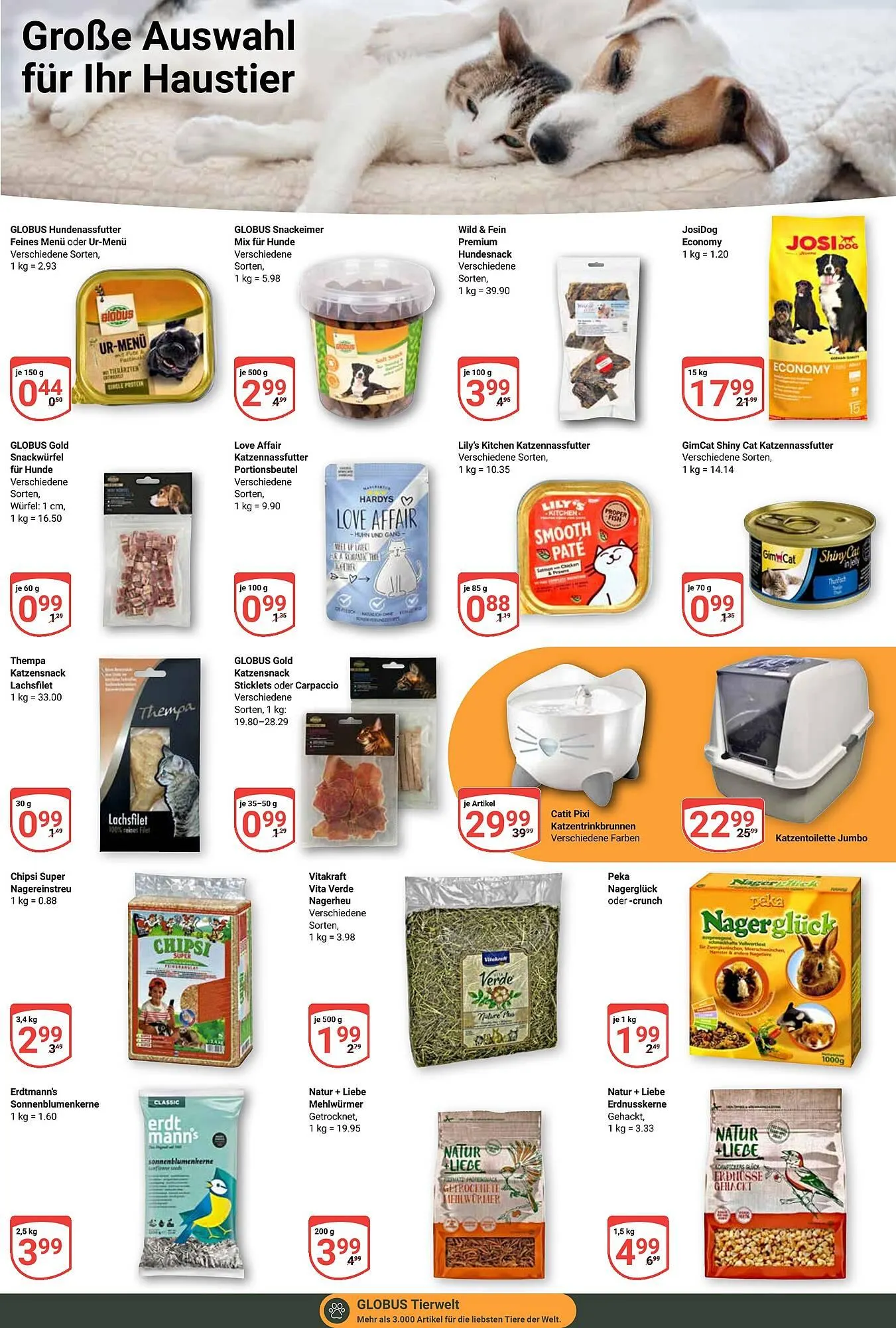 Globus Prospekt von 10. März bis 15. März 2025 - Prospekt seite 19