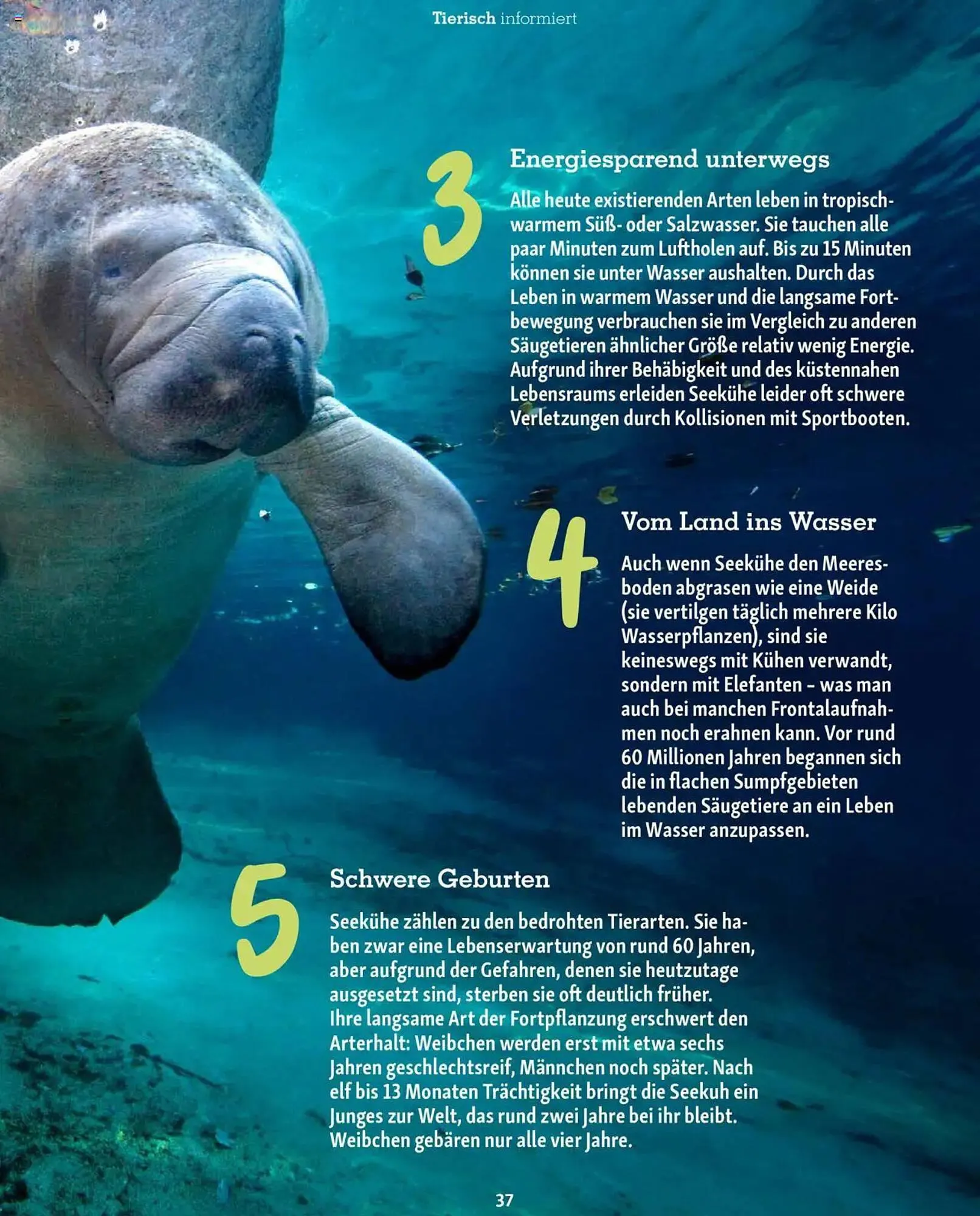 Fressnapf Prospekt von 1. Juli bis 31. August 2025 - Prospekt seite 37