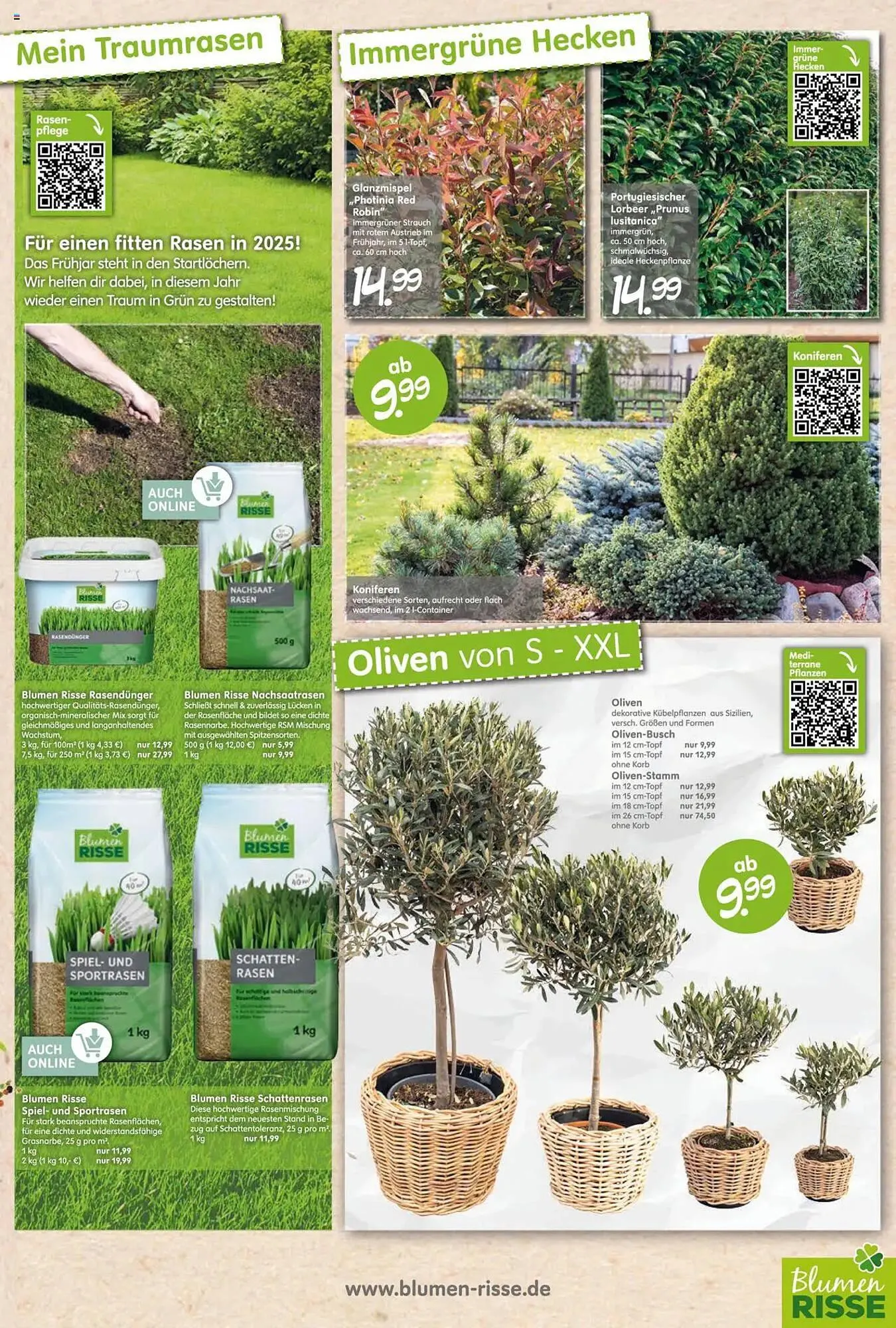 Blumen Risse Prospekt von 27. März bis 6. April 2025 - Prospekt seite 5