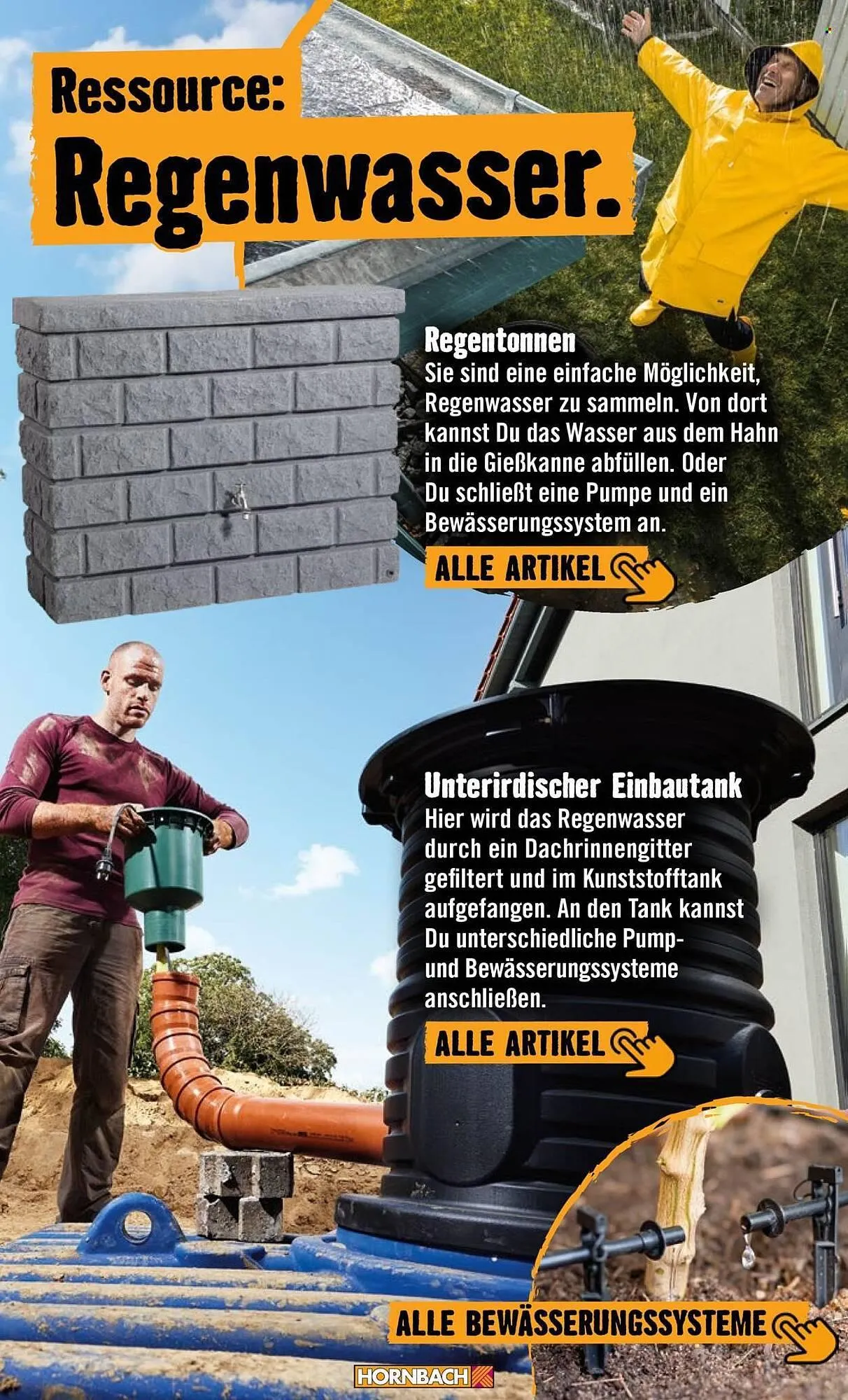 Hornbach Prospekt von 24. April bis 2. Mai 2026 - Prospekt seite 12