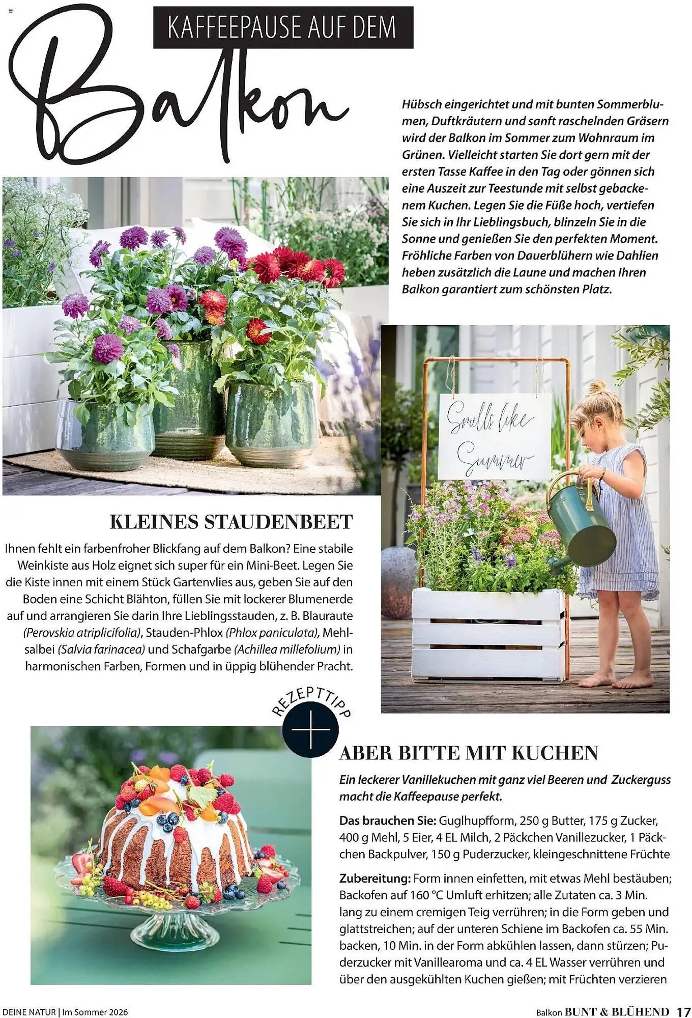 Dehner Prospekt von 17. April bis 31. August 2026 - Prospekt seite 17