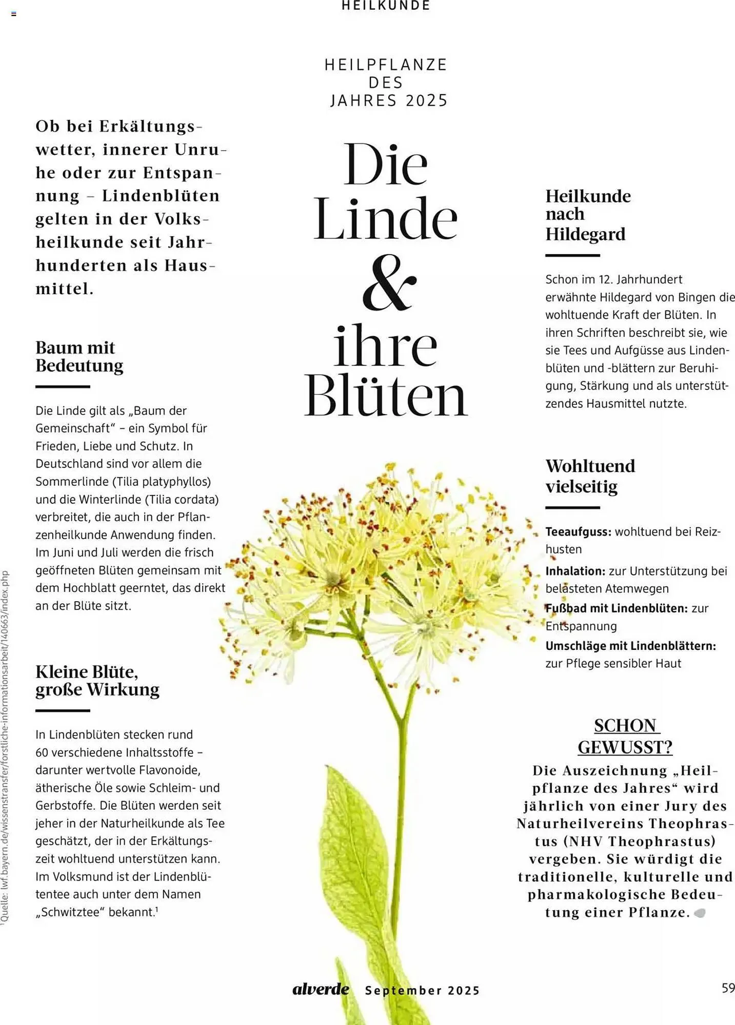 dm drogerie Magazin von 1. September bis 30. September 2025 - Prospekt seite 59