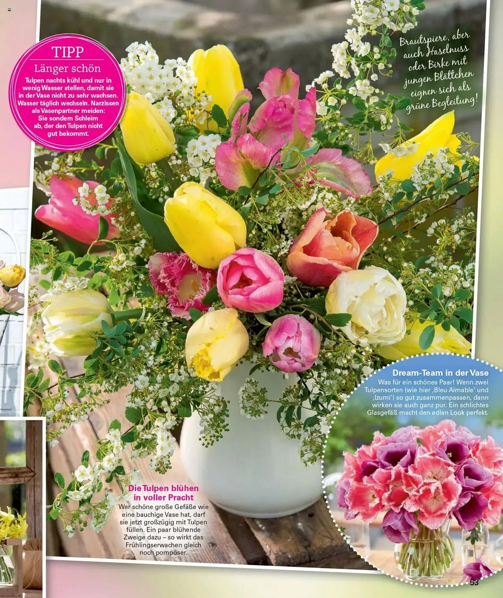 Poco Prospekt von 14. Februar bis 27. April 2025 - Prospekt seite 53