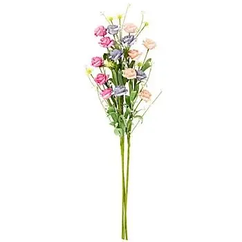 Rosen Pick, rosa, flieder, pink