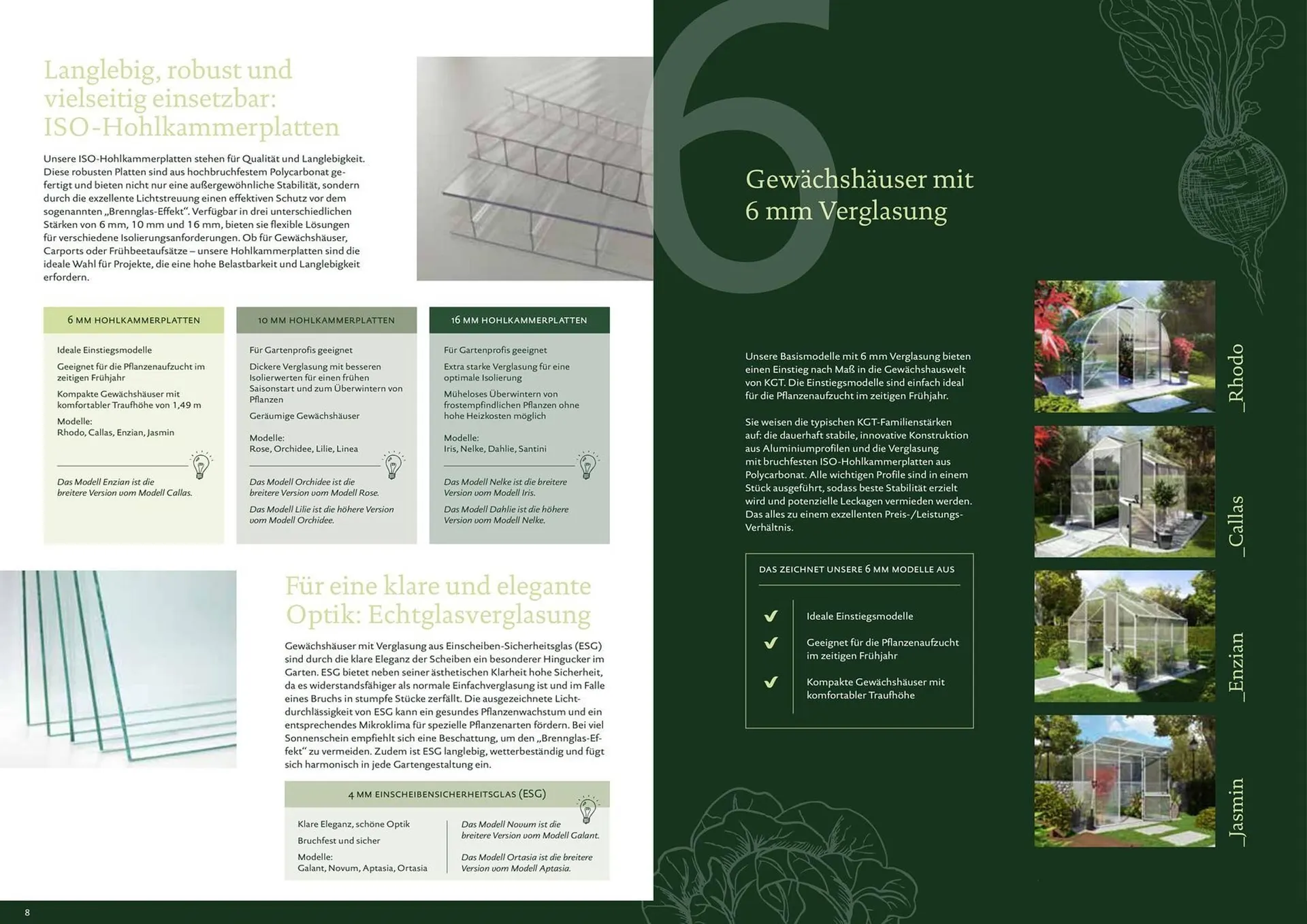 Dehner Prospekt von 8. Juli bis 31. Dezember 2025 - Prospekt seite 5