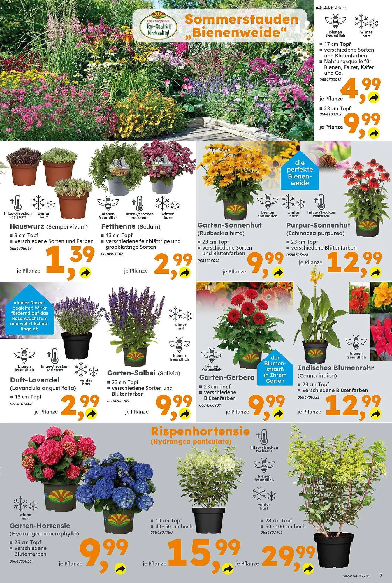 Globus Baumarkt Prospekt von 30. Juni bis 5. Juli 2025 - Prospekt seite 7