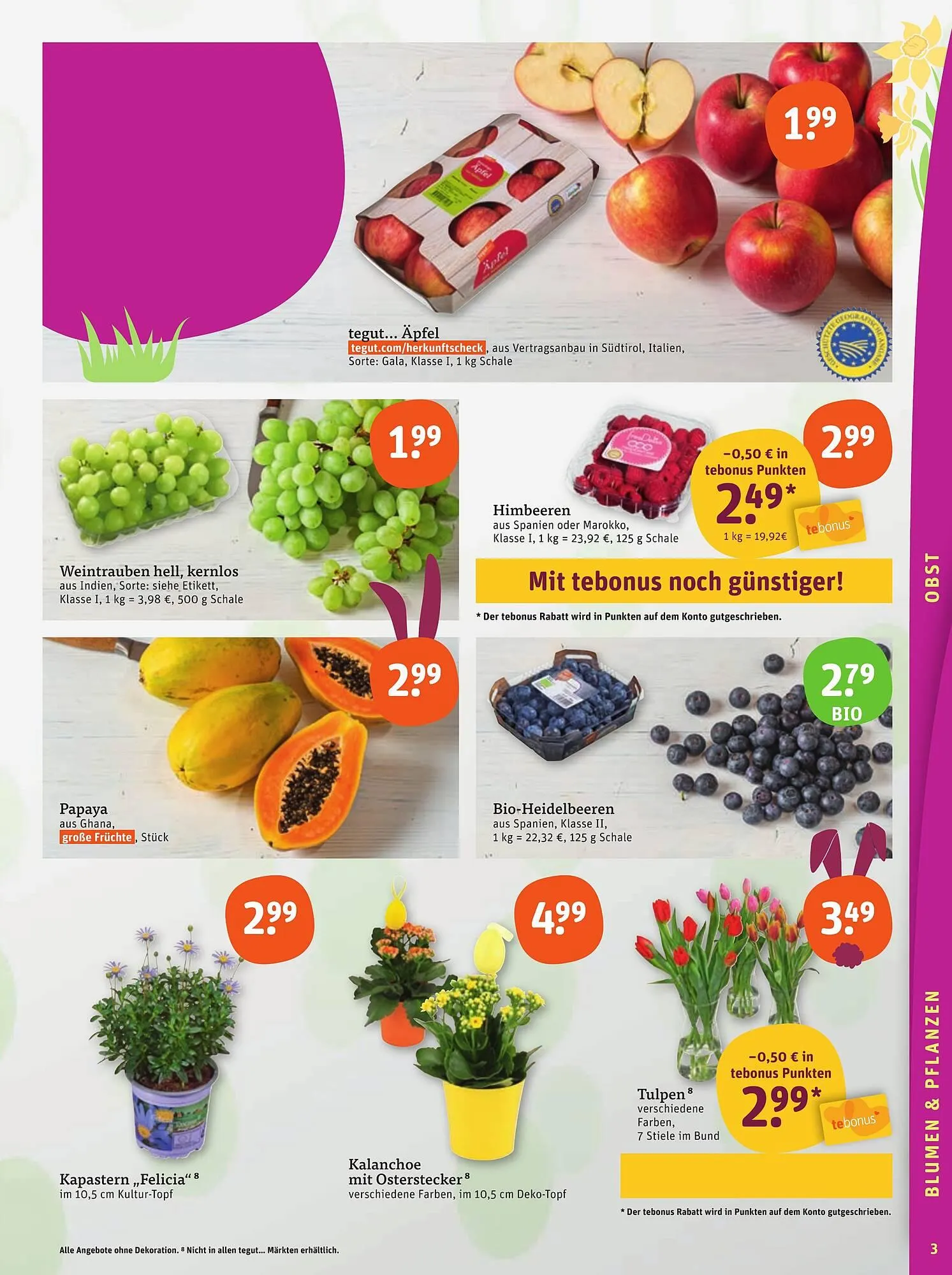 basic Prospekt von 10. April bis 12. April 2025 - Prospekt seite 5