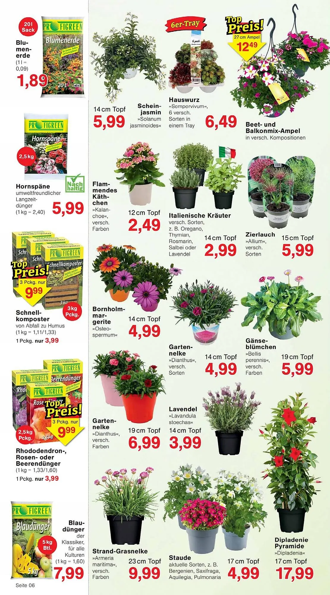 Wiglo Wunderland Prospekt von 23. März bis 28. März 2026 - Prospekt seite 6