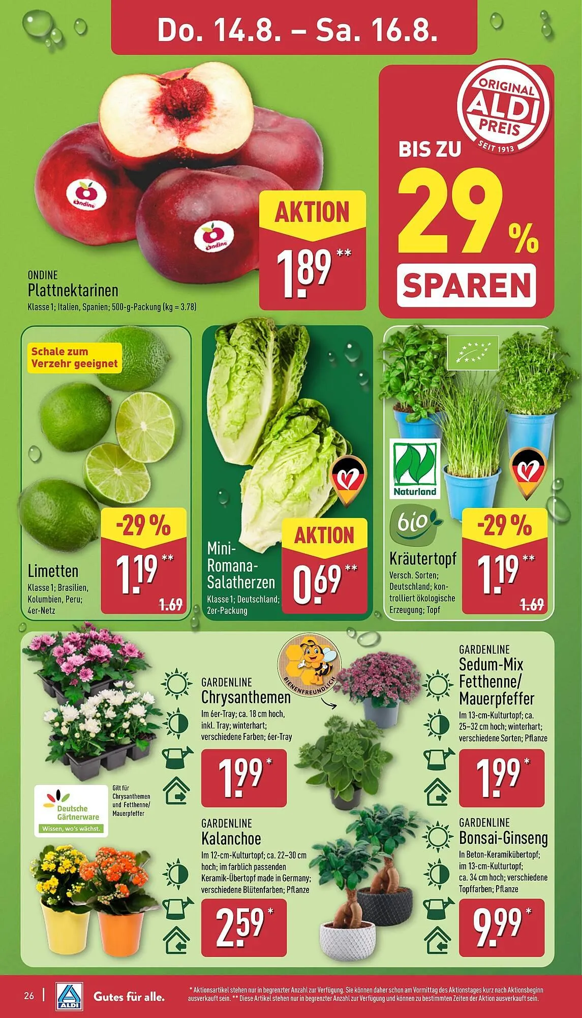 Aldi Nord Prospekt von 11. August bis 16. August 2025 - Prospekt seite 26