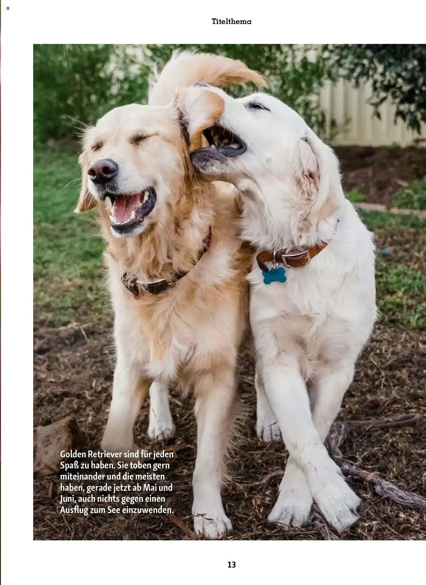 Fressnapf Prospekt von 1. Mai bis 30. Juni 2025 - Prospekt seite 13