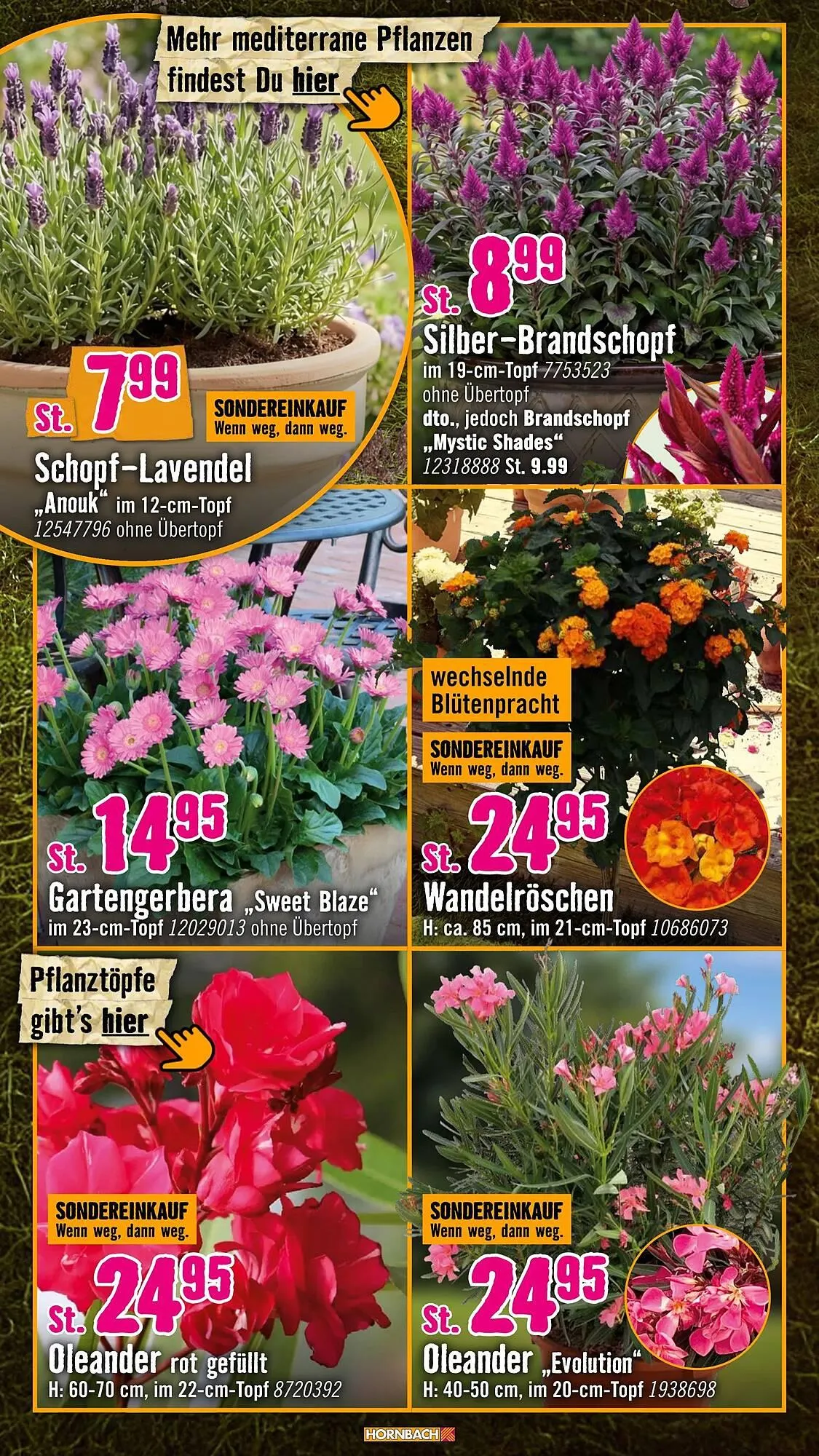 Hornbach Prospekt von 6. Mai bis 3. Juni 2026 - Prospekt seite 12