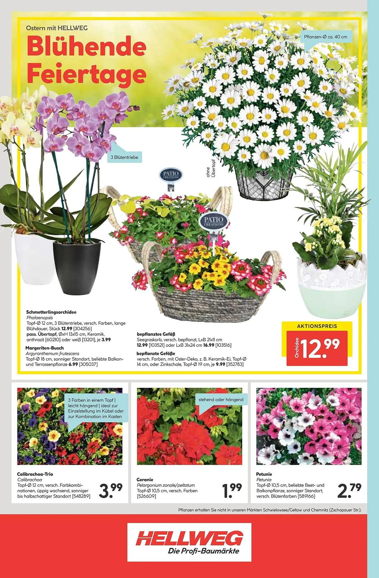 Hellweg Prospekt von 14. April bis 20. April 2025 - Prospekt seite 24