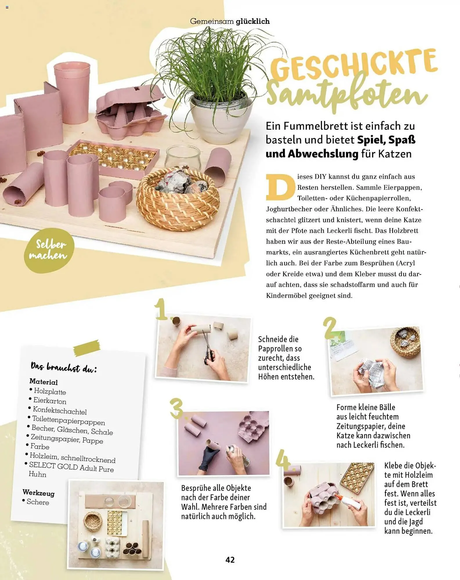 Fressnapf Magazin von 1. Januar bis 28. Februar 2026 - Prospekt seite 42