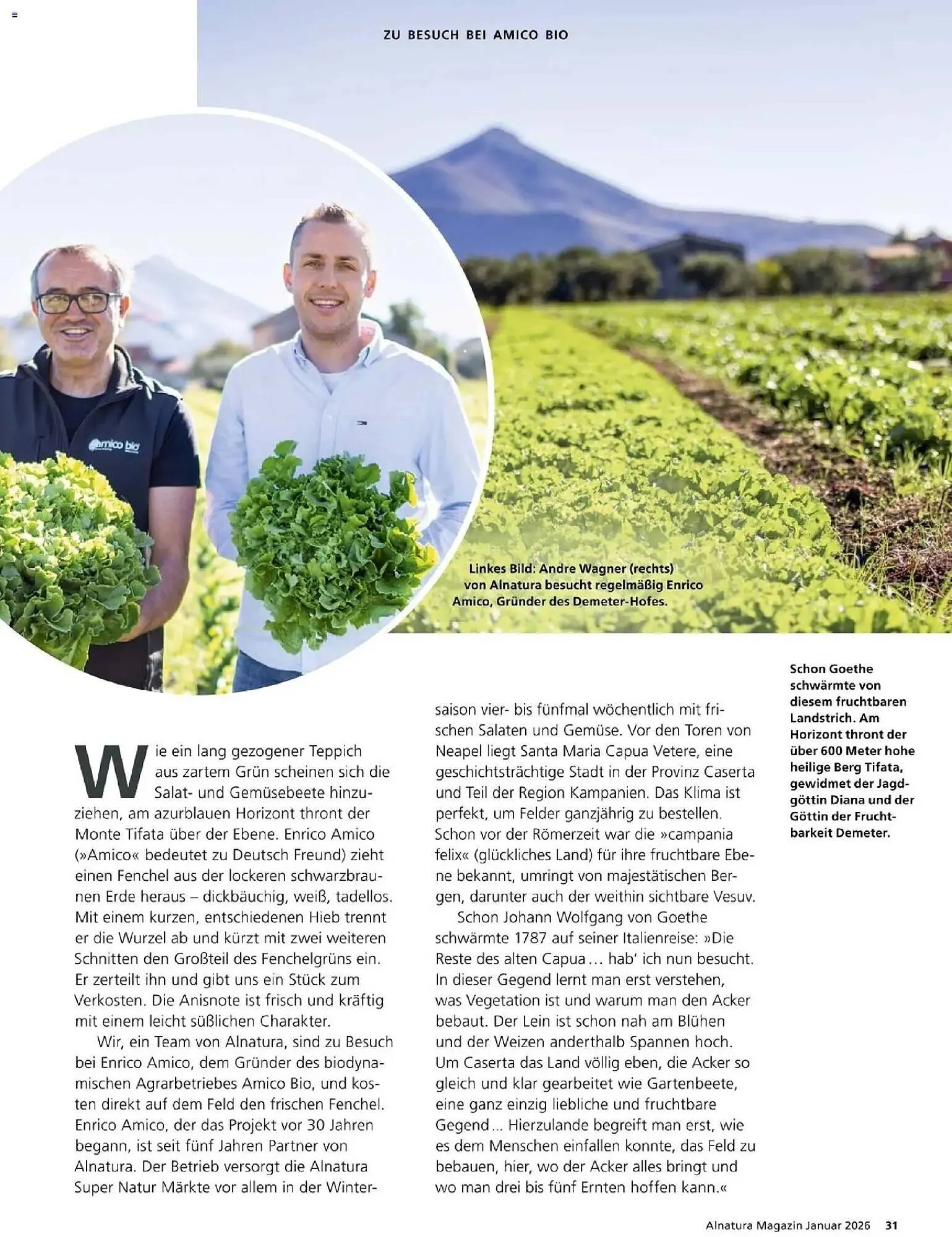 Alnatura Prospekt von 1. Januar bis 31. Januar 2026 - Prospekt seite 31