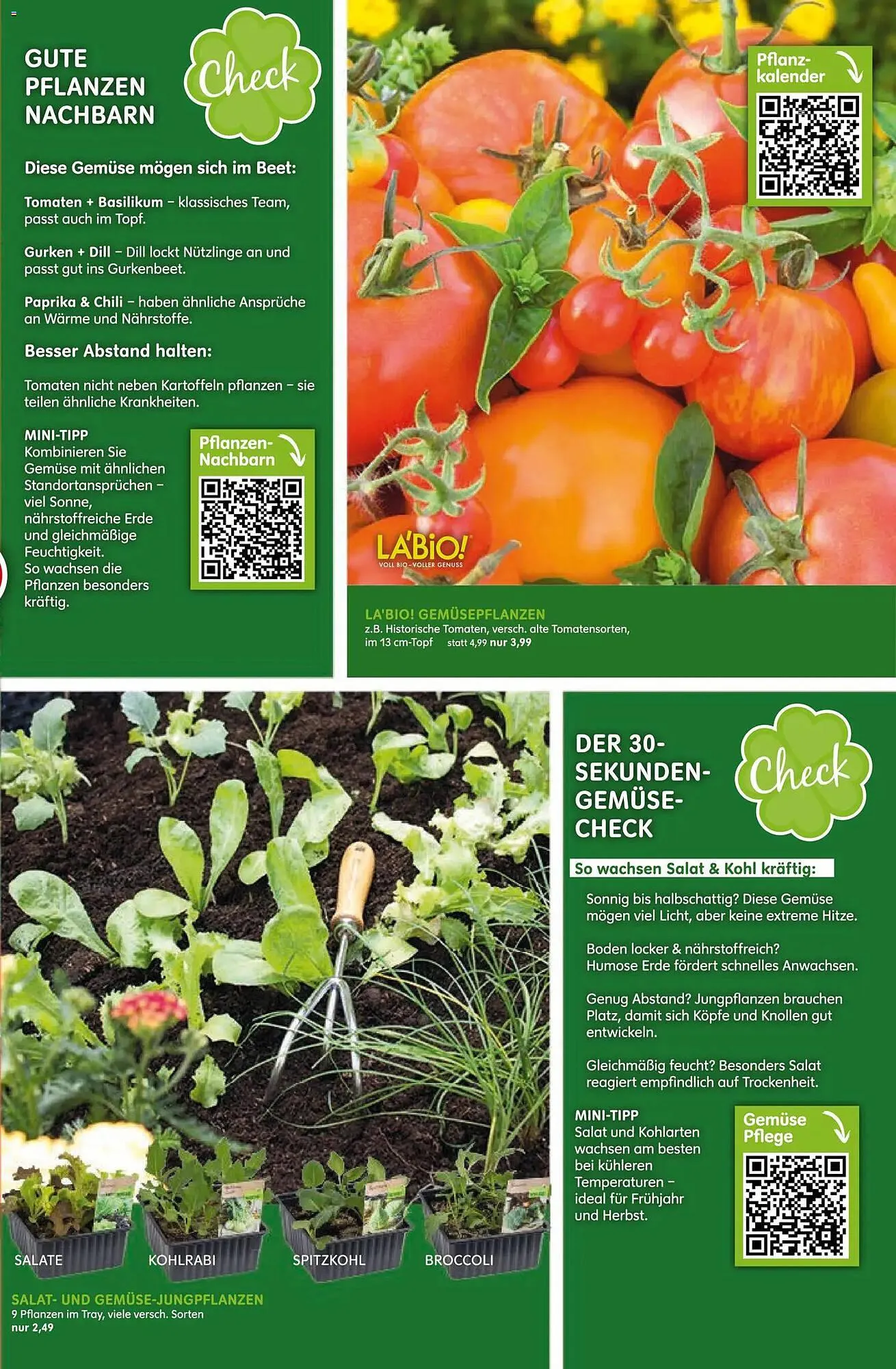 Blumen Risse Prospekt von 16. April bis 26. April 2026 - Prospekt seite 3