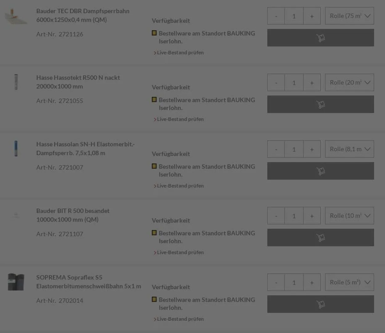 Bauking von 4. August bis 13. August 2025 - Prospekt seite 19