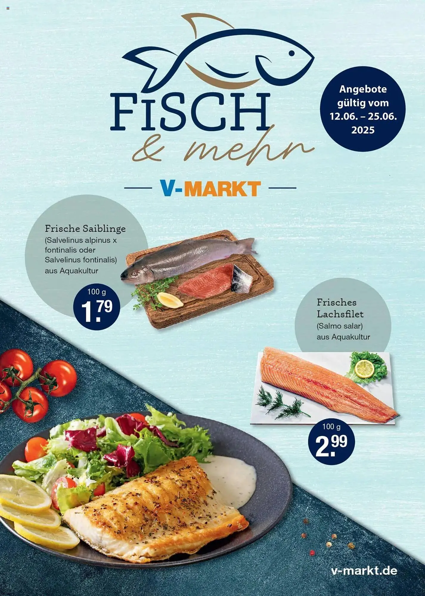 V Markt Prospekt von 12. Juni bis 25. Juni 2025 - Prospekt seite 1