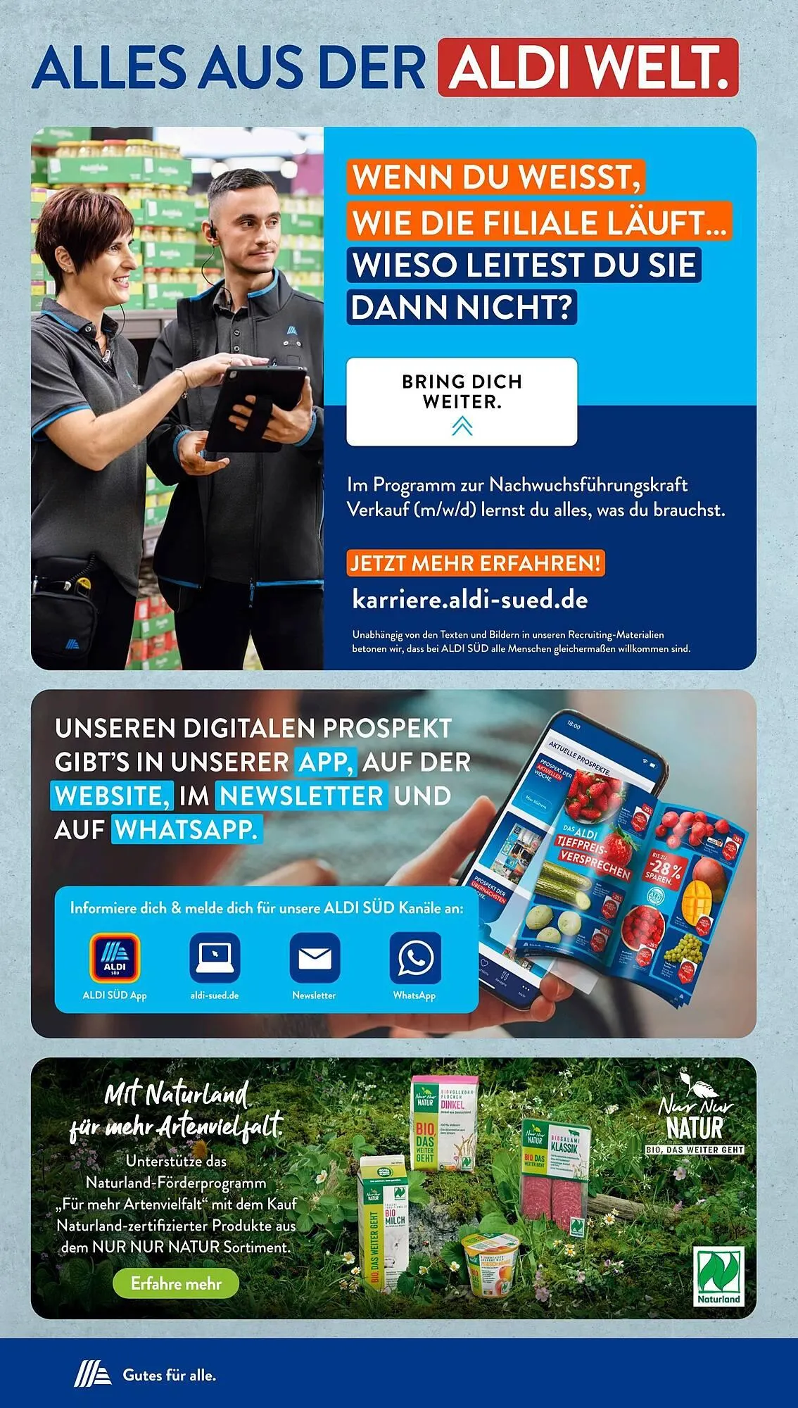 Aldi Süd Prospekt von 27. Oktober bis 2. November 2025 - Prospekt seite 31