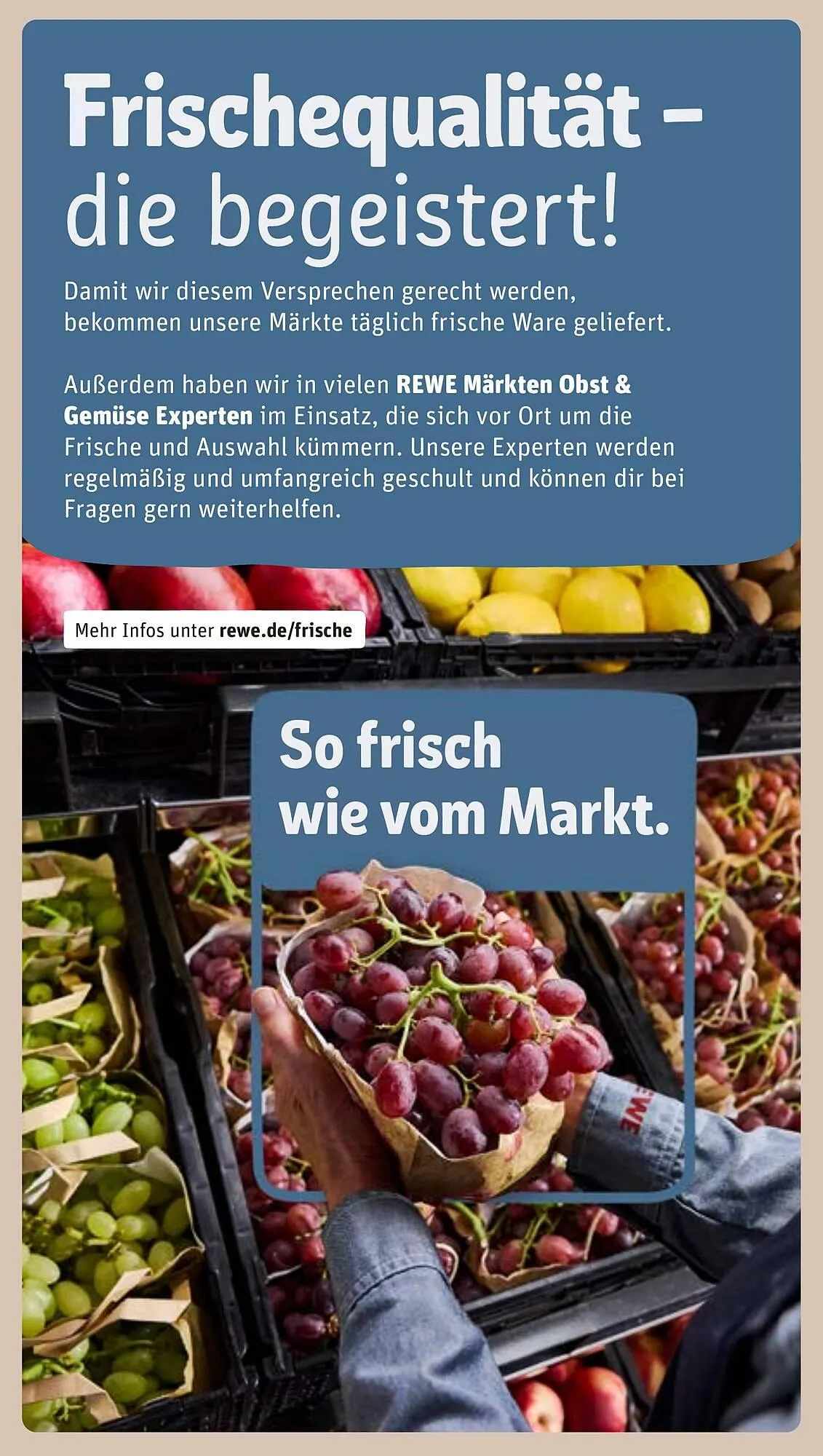 REWE Prospekt von 15. September bis 21. September 2025 - Prospekt seite 29