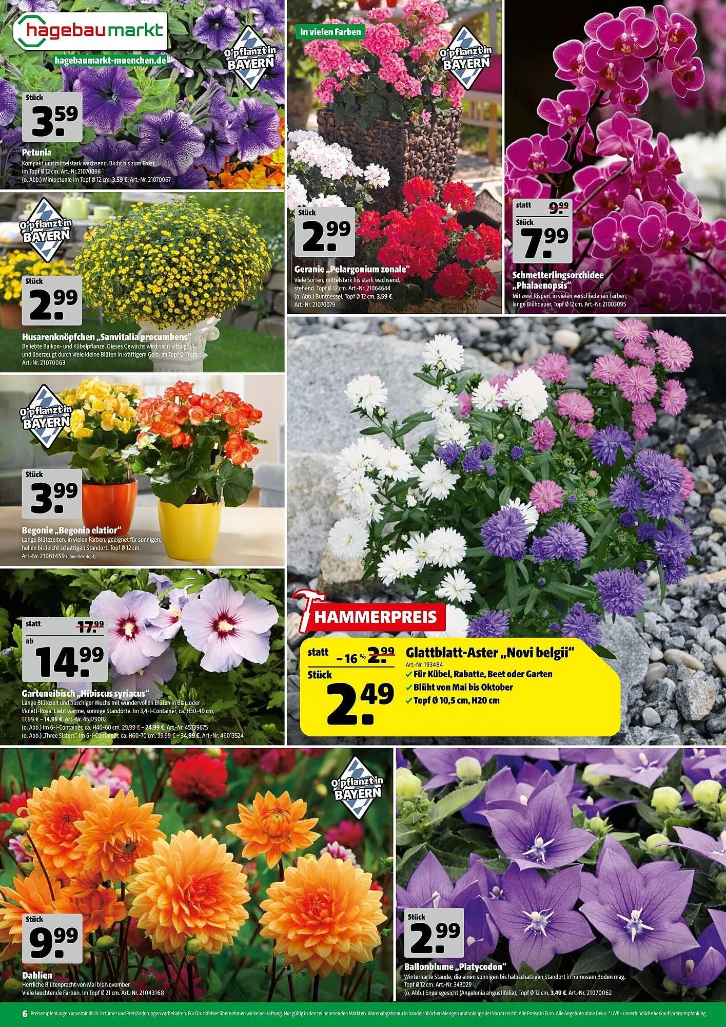 Hagebau Prospekt von 19. Juli bis 26. Juli 2025 - Prospekt seite 6