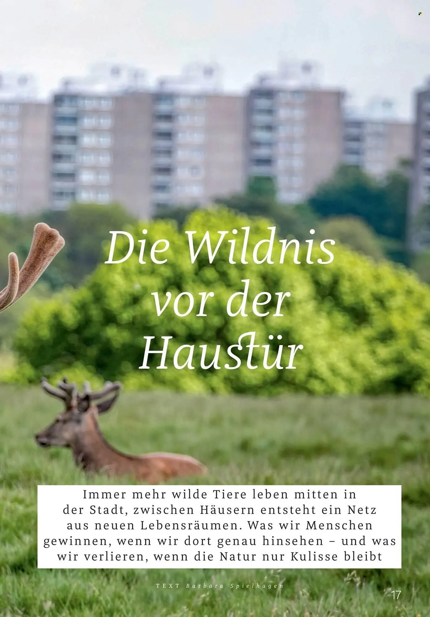 Rossmann Magazin von 1. März bis 31. März 2026 - Prospekt seite 17