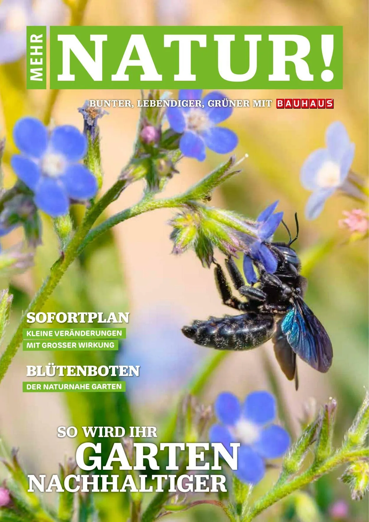 Bauhaus Aktueller Prospekt - 1