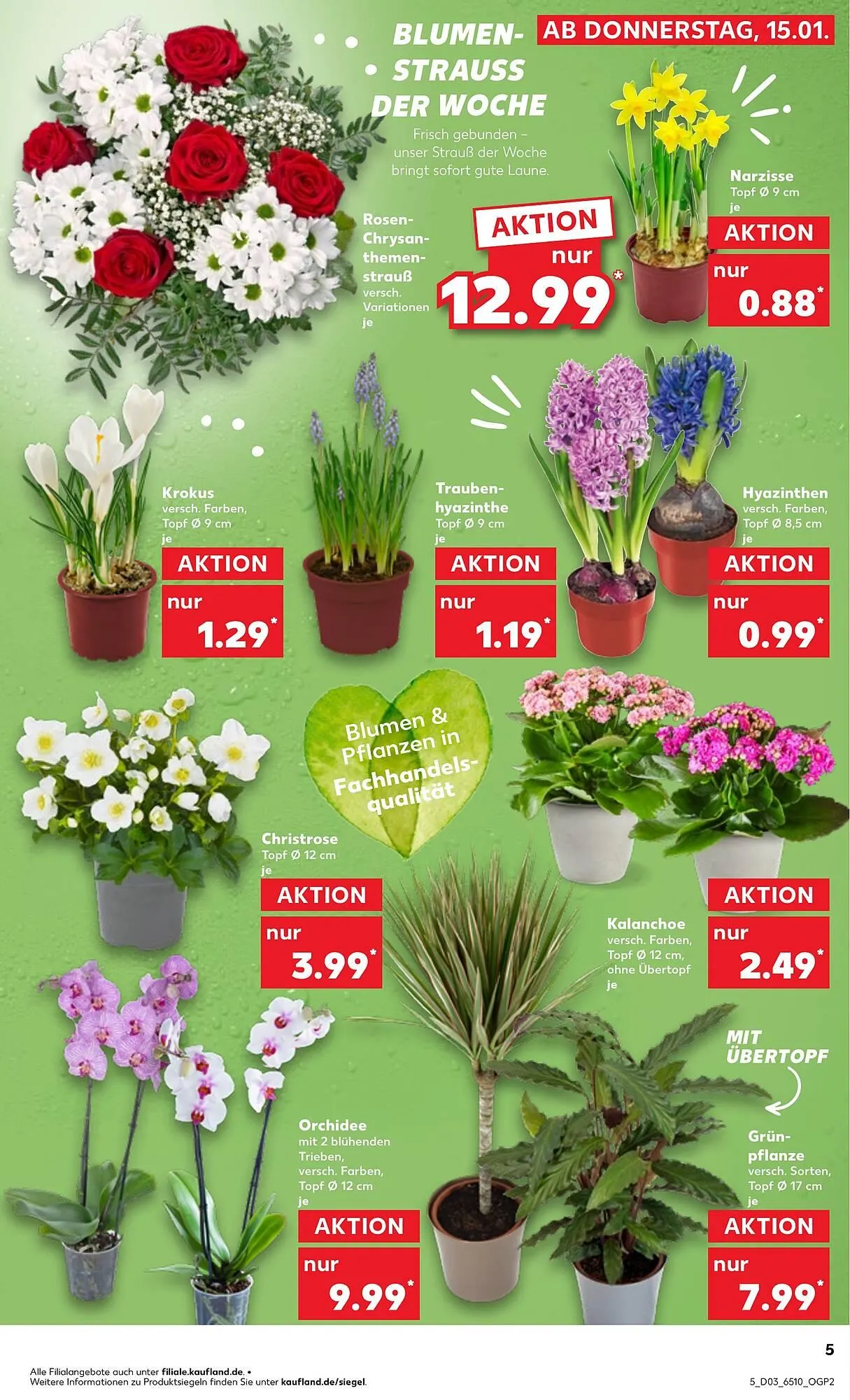 Kaufland Prospekt von 15. Januar bis 21. Januar 2026 - Prospekt seite 5