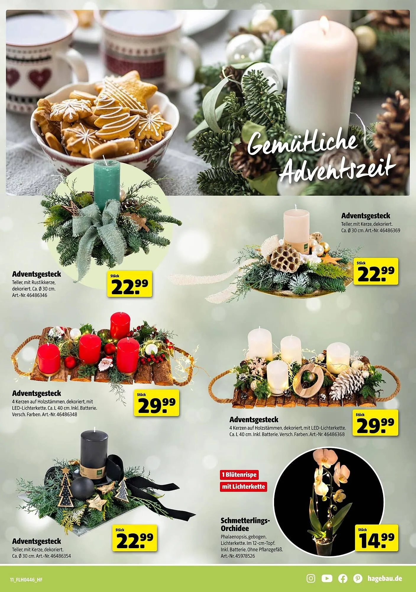 Hagebau Prospekt von 8. November bis 15. November 2025 - Prospekt seite 11