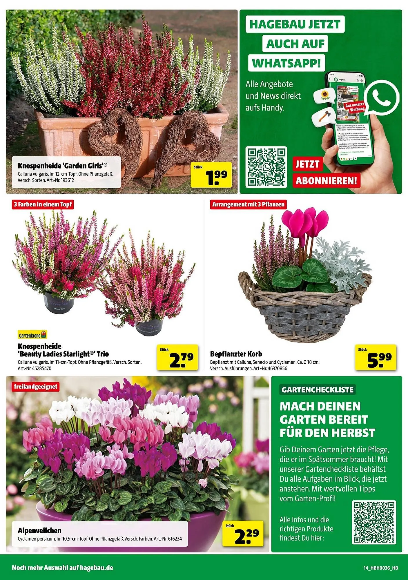 Hagebau Prospekt von 30. August bis 6. September 2025 - Prospekt seite 14