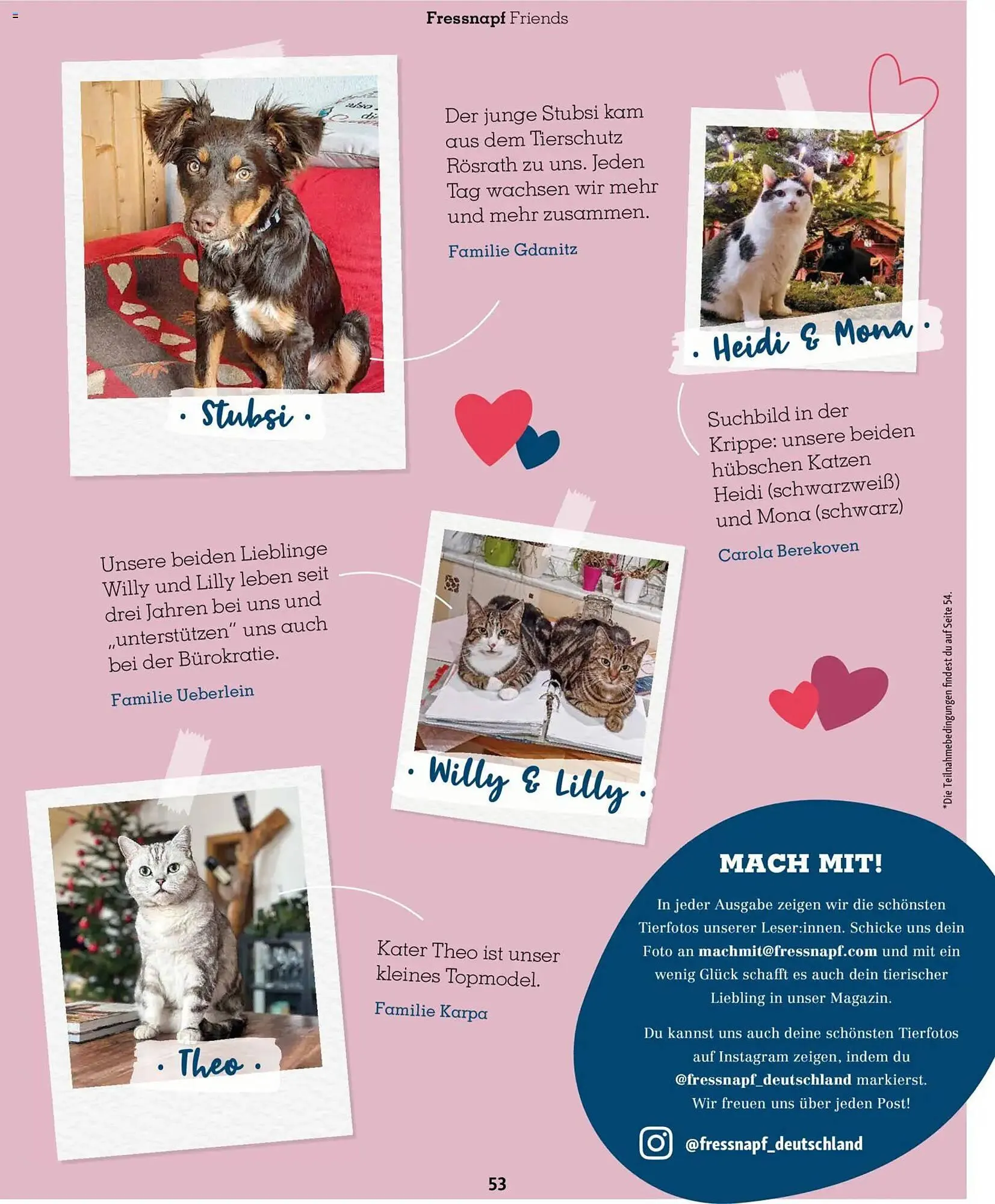 Fressnapf Magazin von 1. November bis 31. Dezember 2025 - Prospekt seite 53