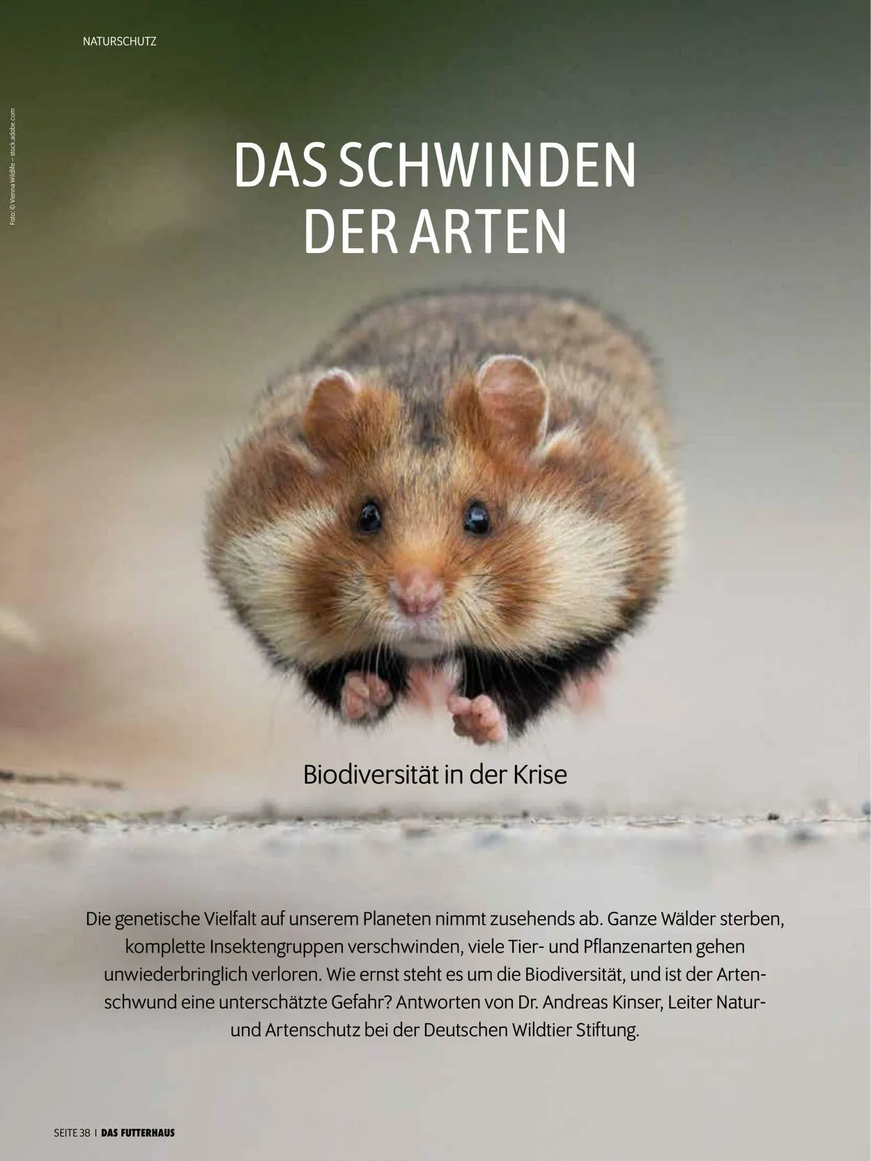 Futterhaus Aktueller Prospekt von 1. Dezember bis 31. Dezember 2025 - Prospekt seite 38