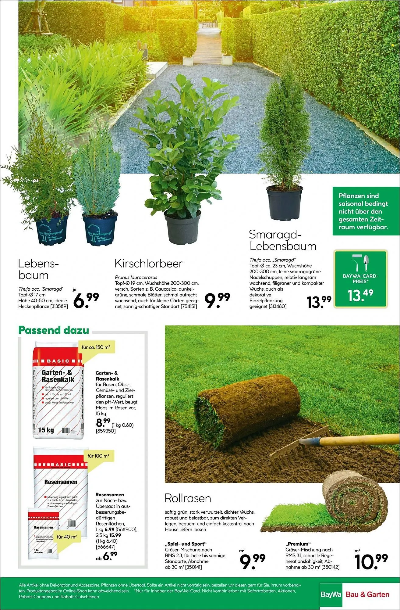 BayWa Prospekt von 31. März bis 6. April 2025 - Prospekt seite 37