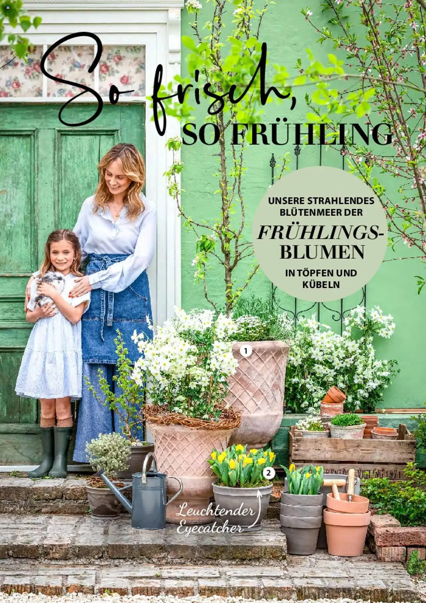 Dehner Prospekt von 6. März bis 9. Juni 2025 - Prospekt seite 32