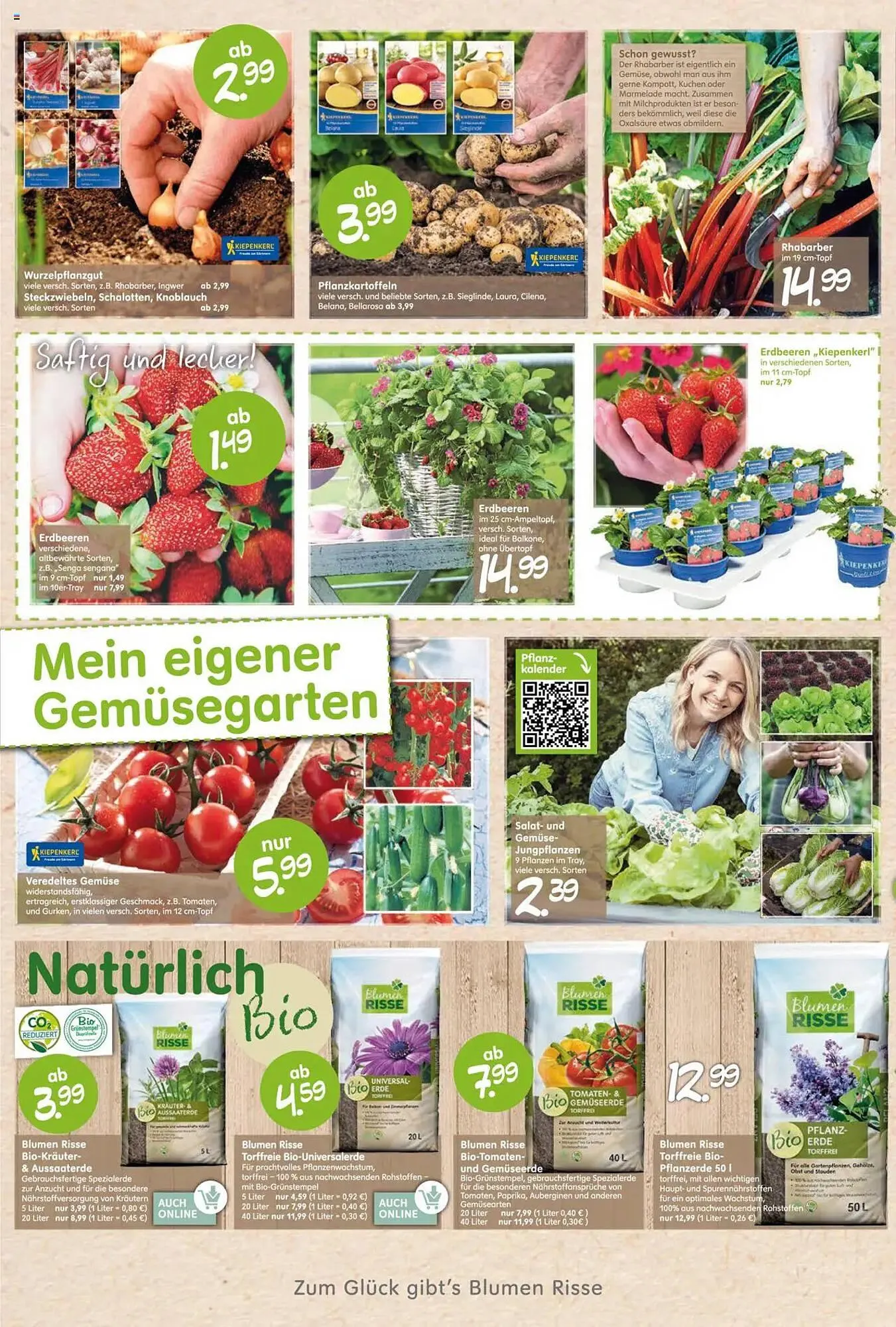 Blumen Risse Prospekt von 27. März bis 6. April 2025 - Prospekt seite 2