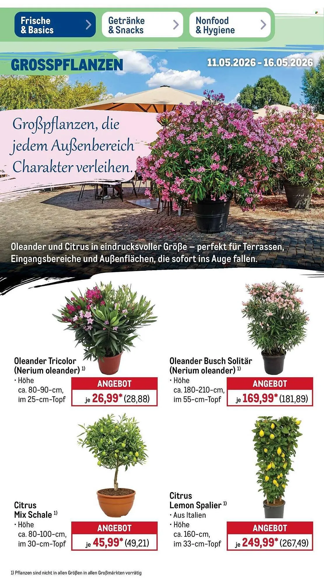 METRO Prospekt von 11. Mai bis 16. Mai 2026 - Prospekt seite 37