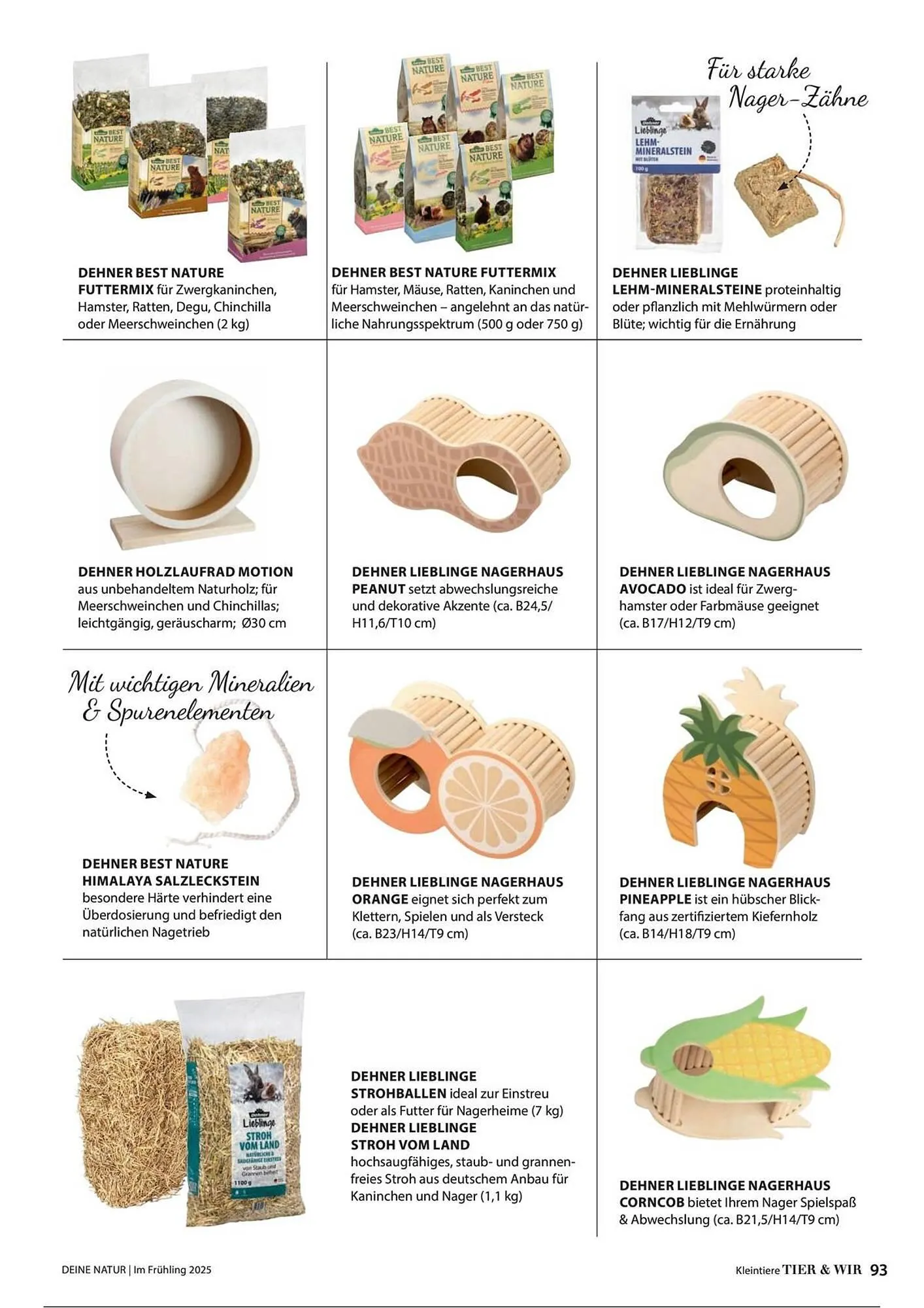 Dehner Prospekt von 1. Juli bis 31. Dezember 2025 - Prospekt seite 93