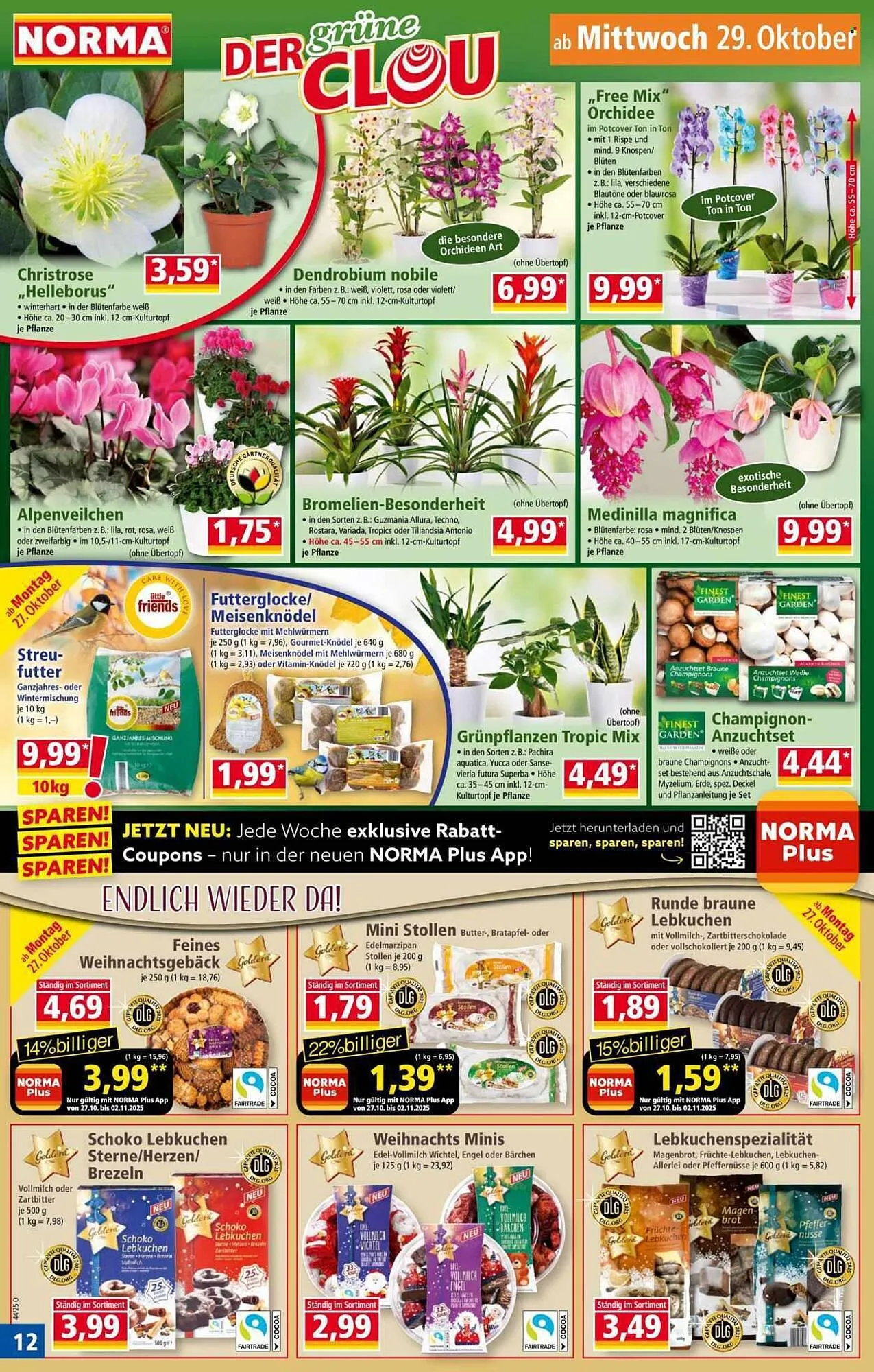 Norma Prospekt von 27. Oktober bis 2. November 2025 - Prospekt seite 12