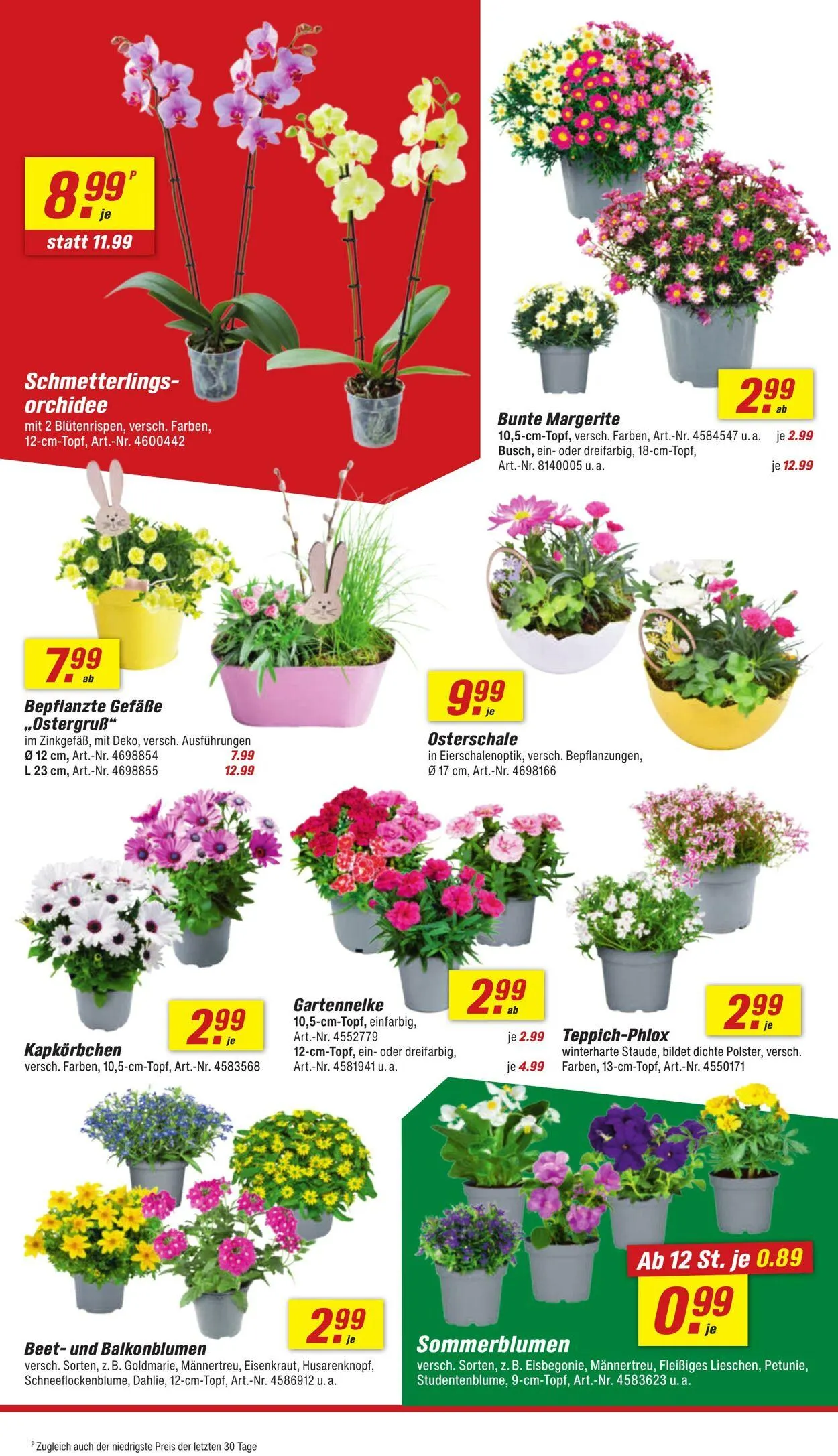 toom Baumarkt Aktueller Prospekt von 18. August bis 1. September 2025 - Prospekt seite 4